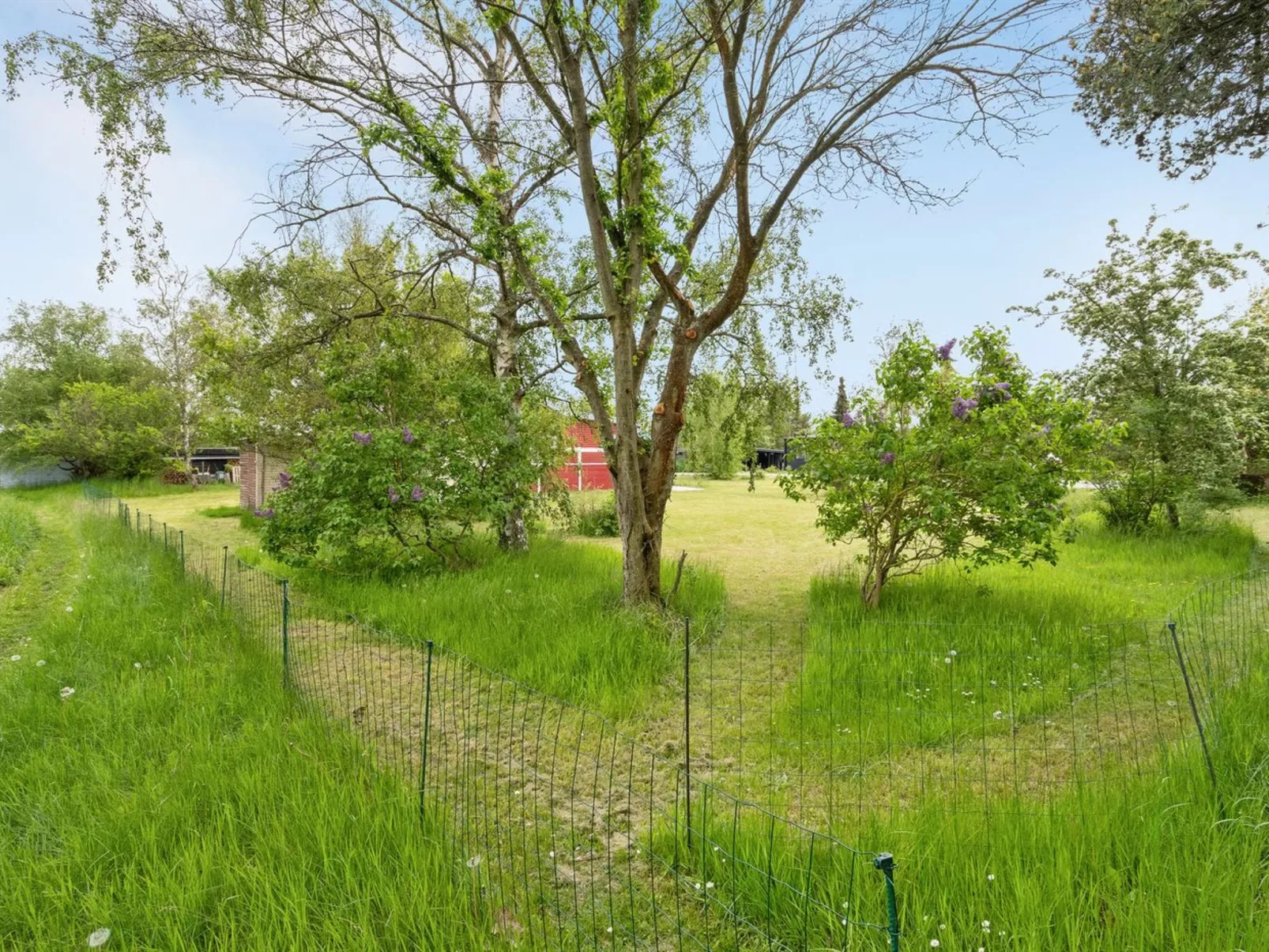 "Aris" - 480m from the sea-Buiten