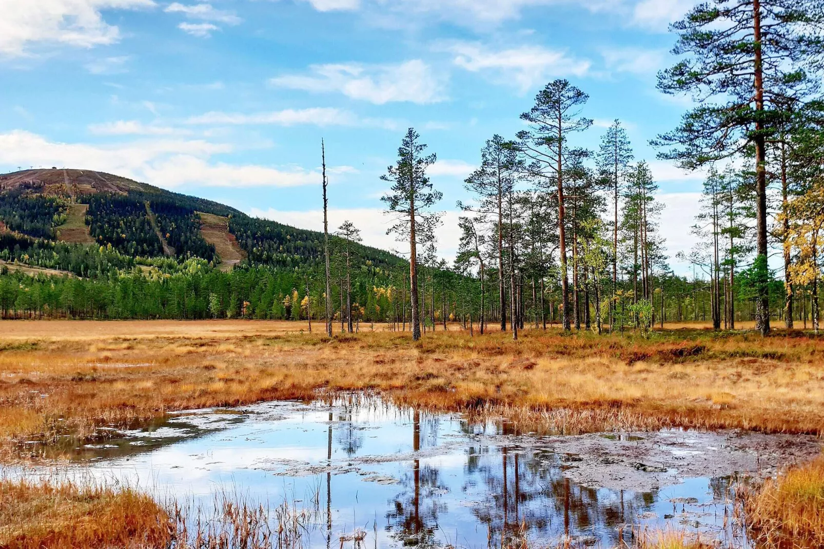 12 persoons vakantie huis in SÄLEN-Uitzicht