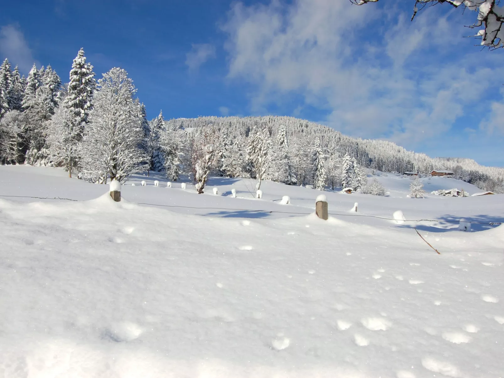 Entalhof-Buiten