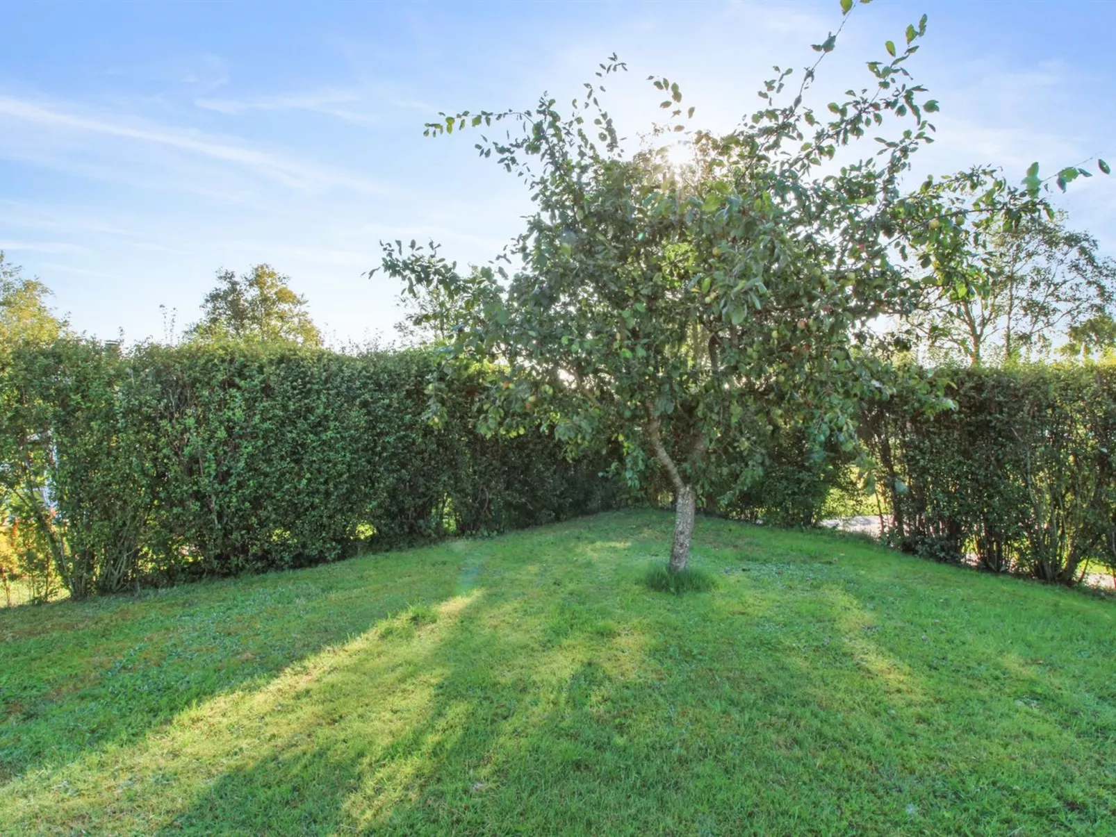 "Simjanka" - 600m from the sea-Buiten