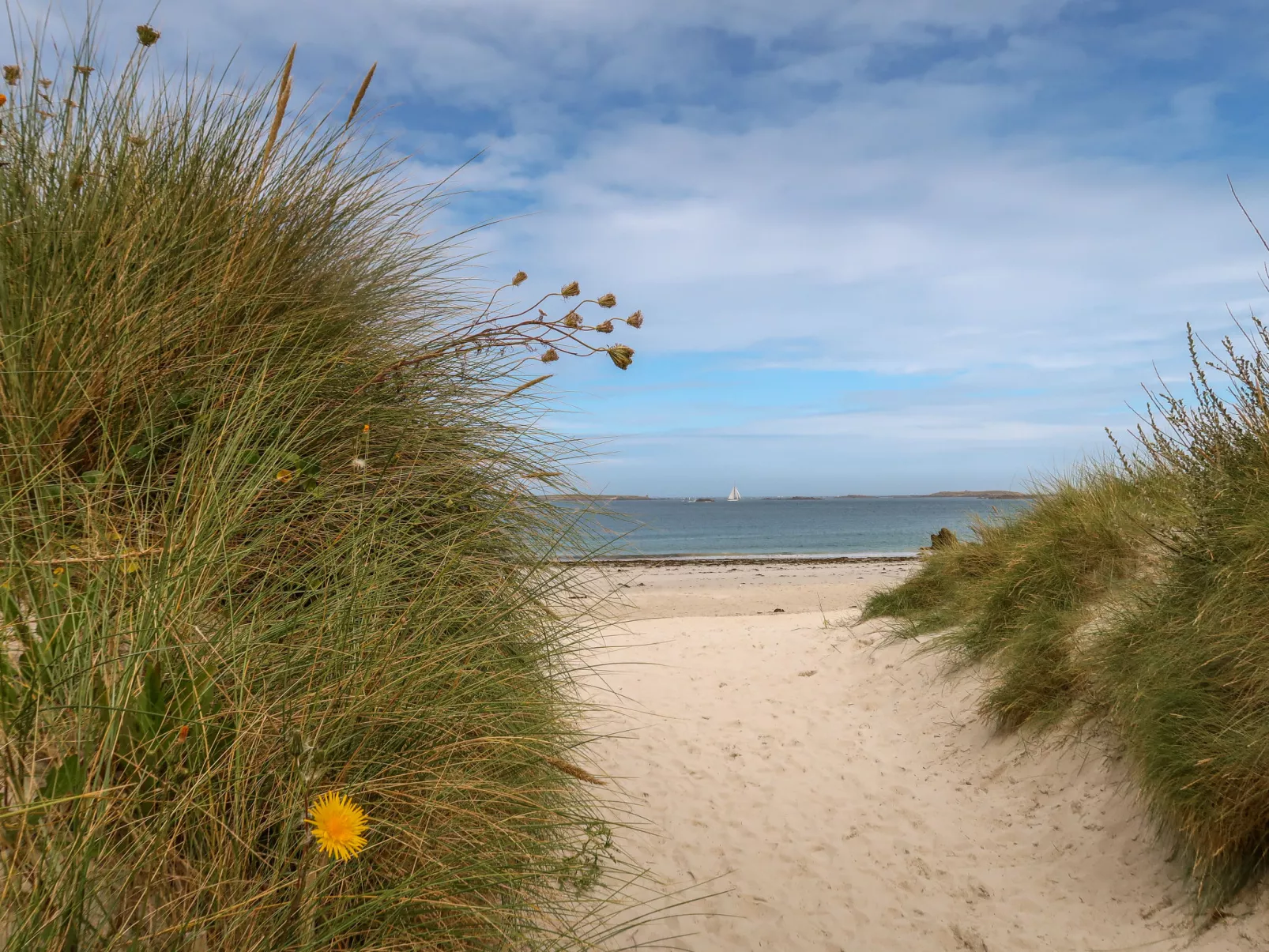 Les Dunes-Omgeving