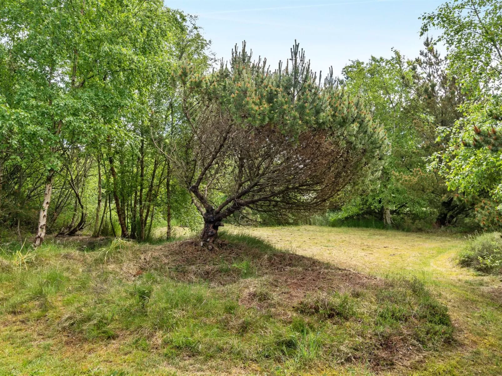 "Glenna" - 1.8km from the sea-Buiten
