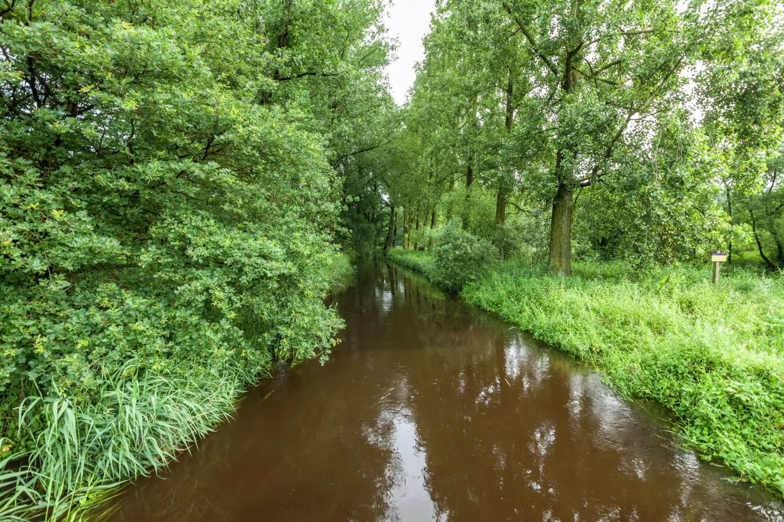 De Vrije Vogel-Gebieden zomer 1km