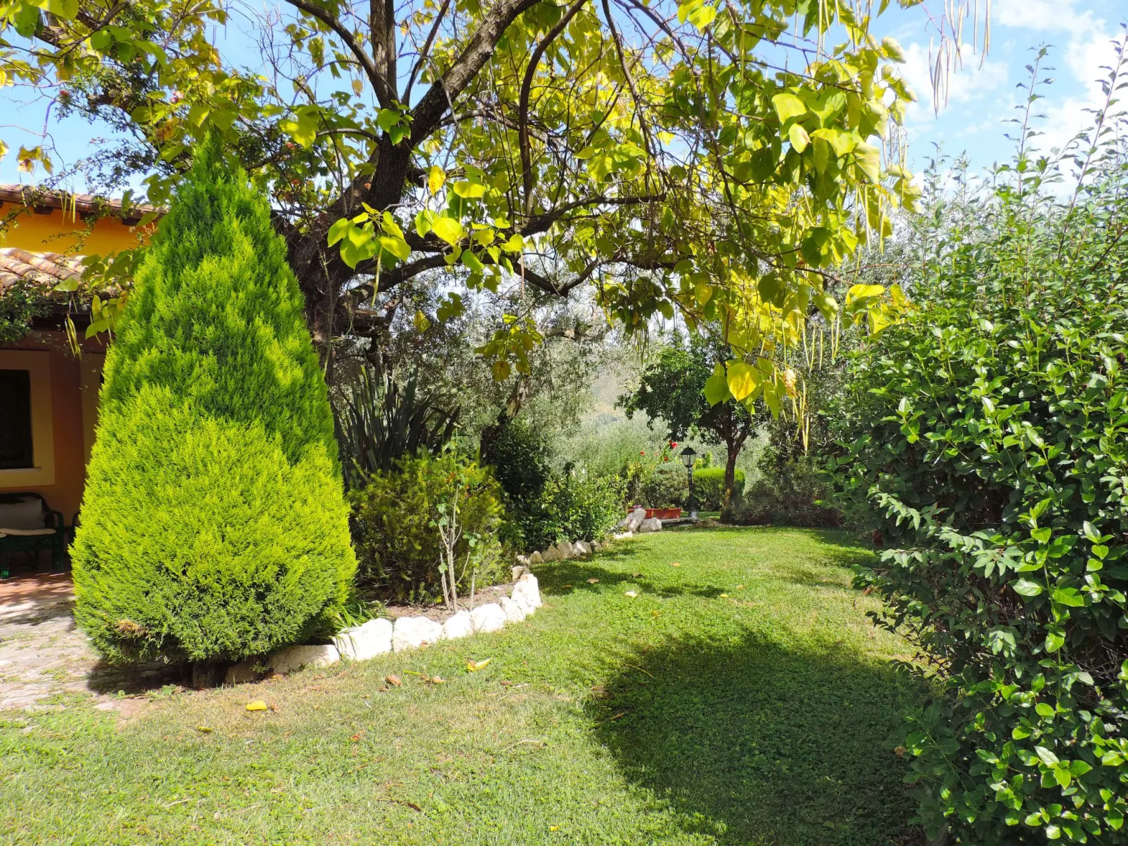 Olive Grove Sabina-Buiten