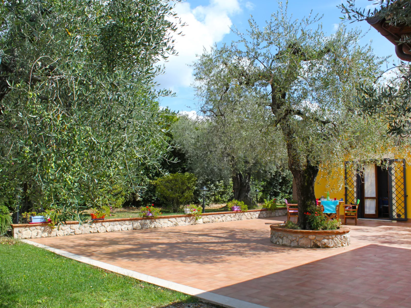 Olive Grove Sabina-Buiten