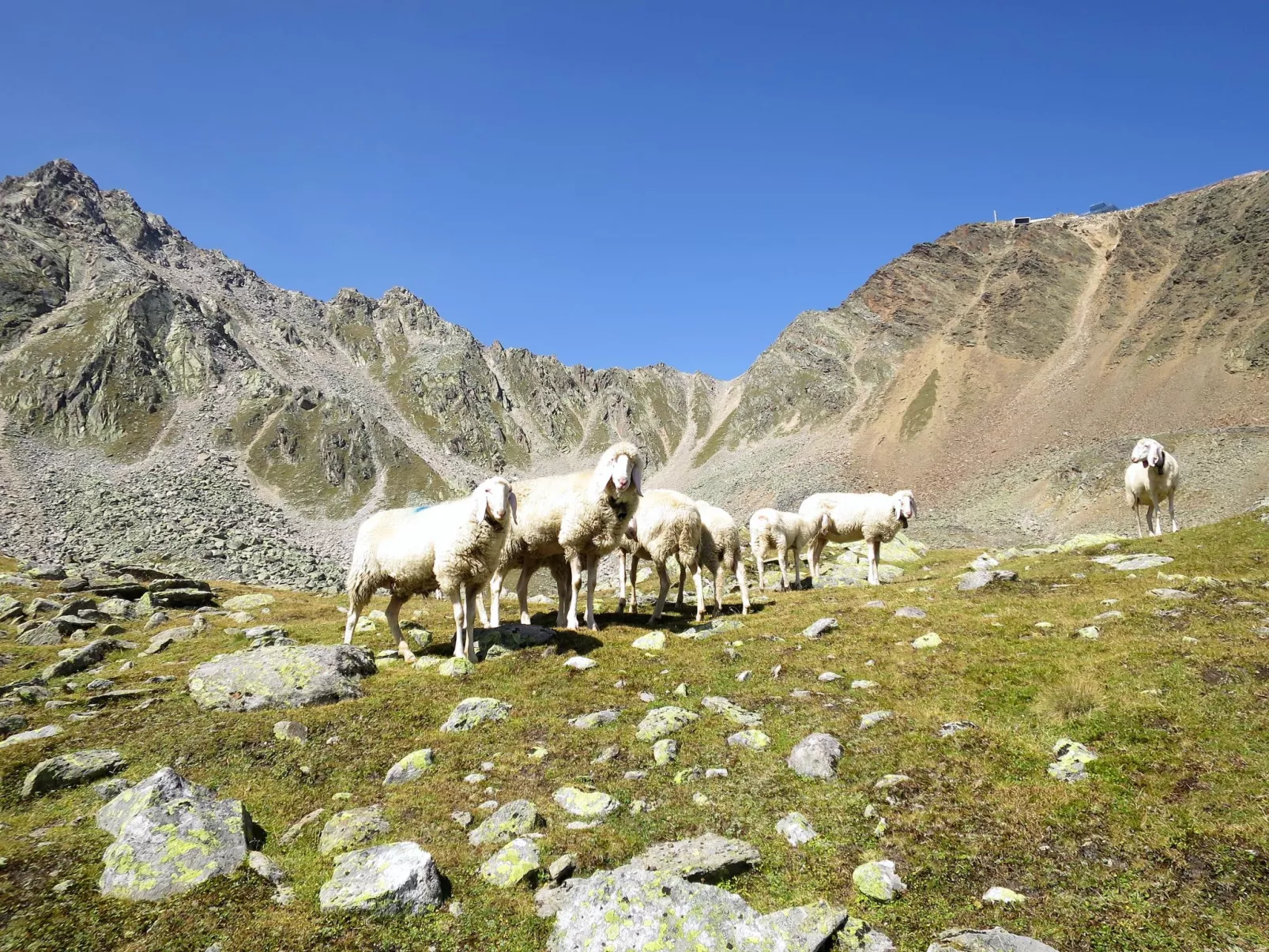 Alpenblick (SOE750)-Omgeving