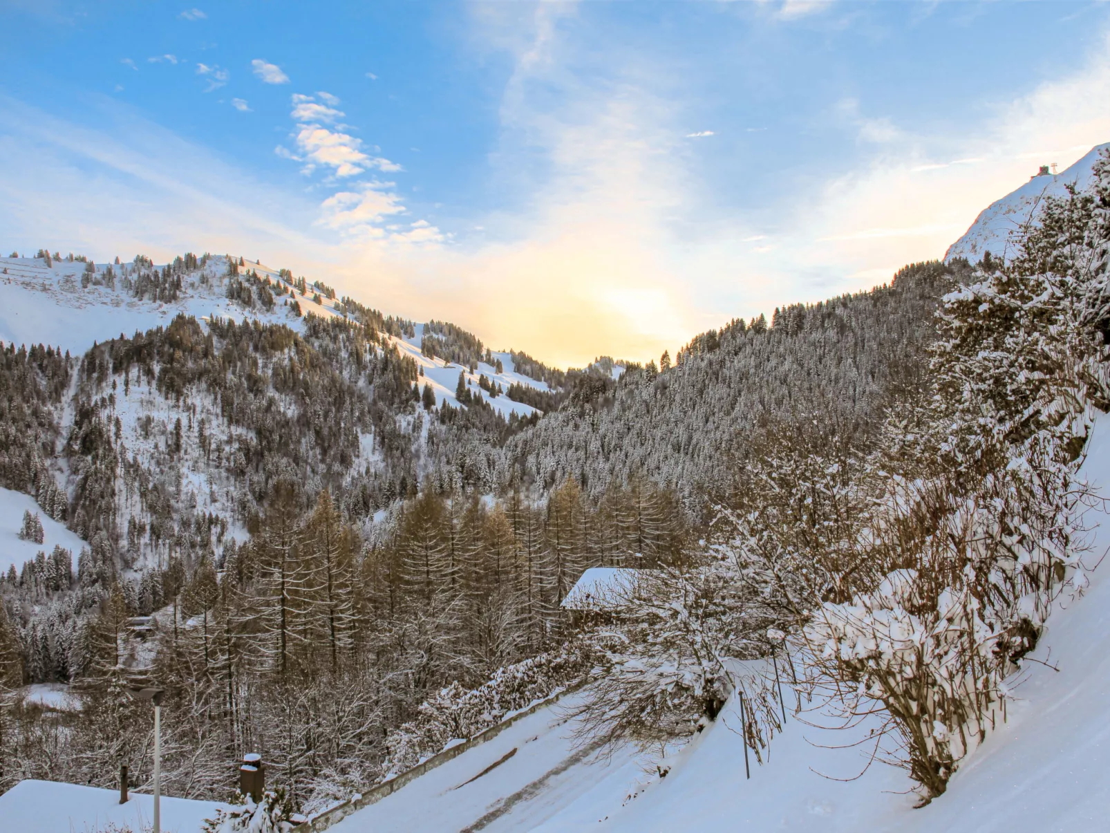 Chalet Les 3 Marmottes-Buiten