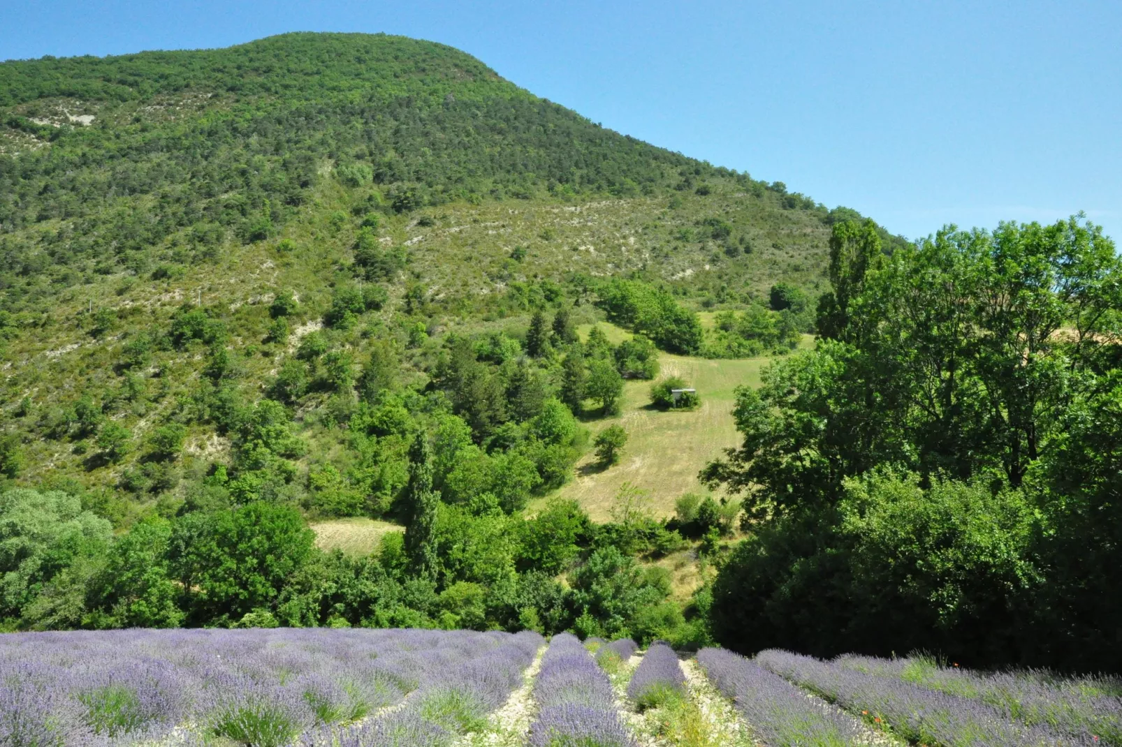 Villa Belle Suzette-Gebieden zomer 5km