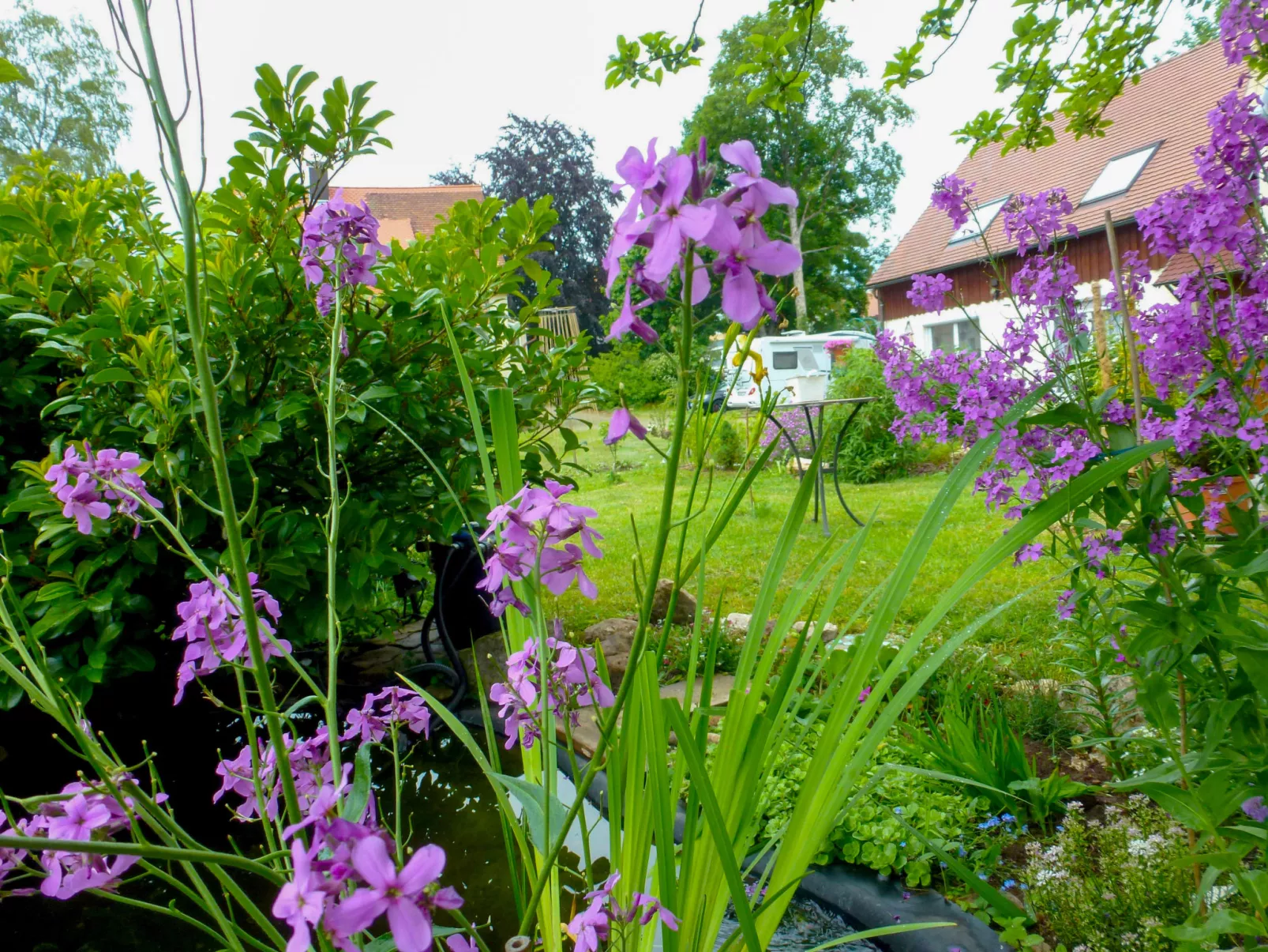 Schmetterlingsgarten-Buiten