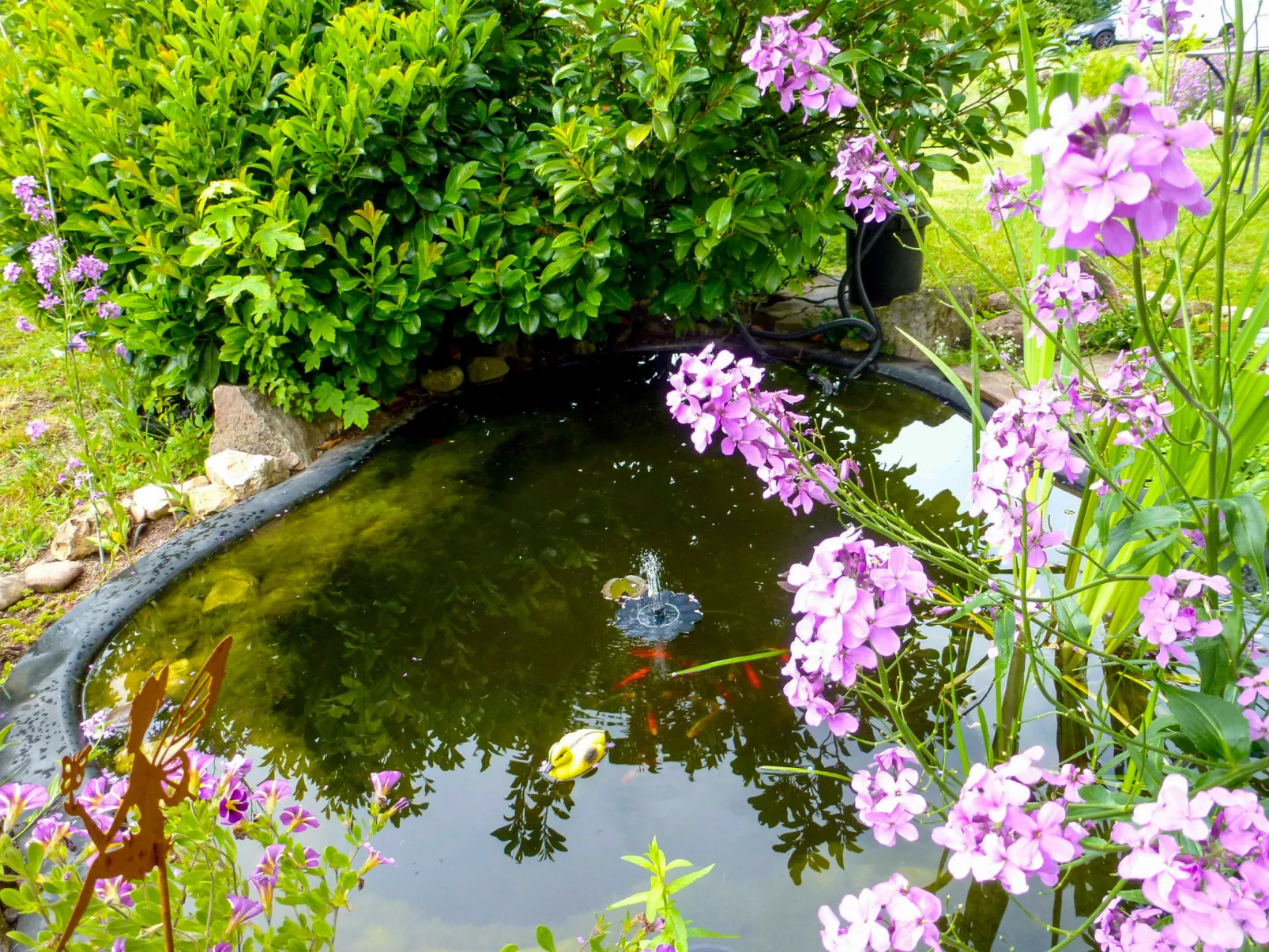 Schmetterlingsgarten-Buiten