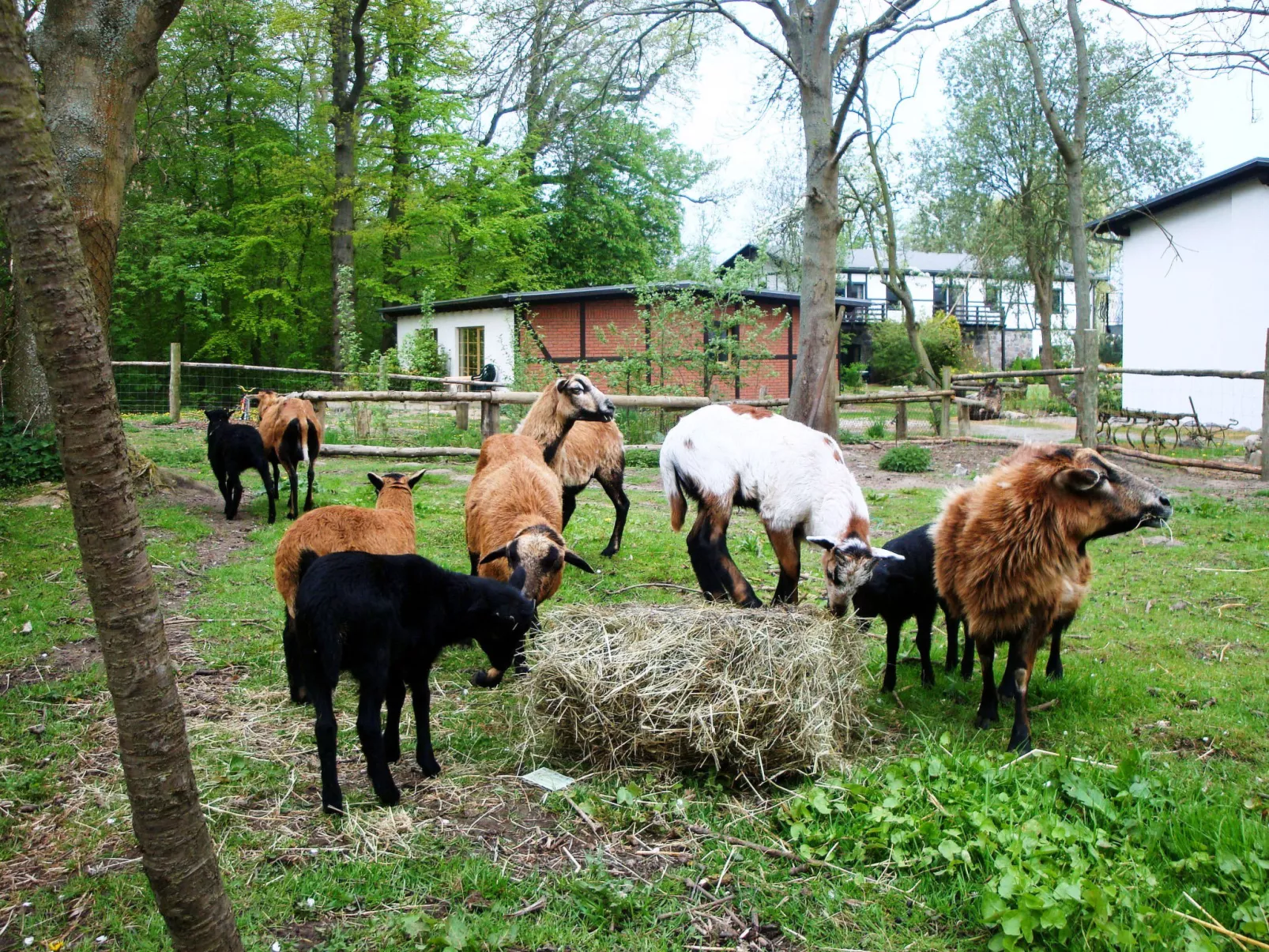 Gutspark Seeblick-Buiten