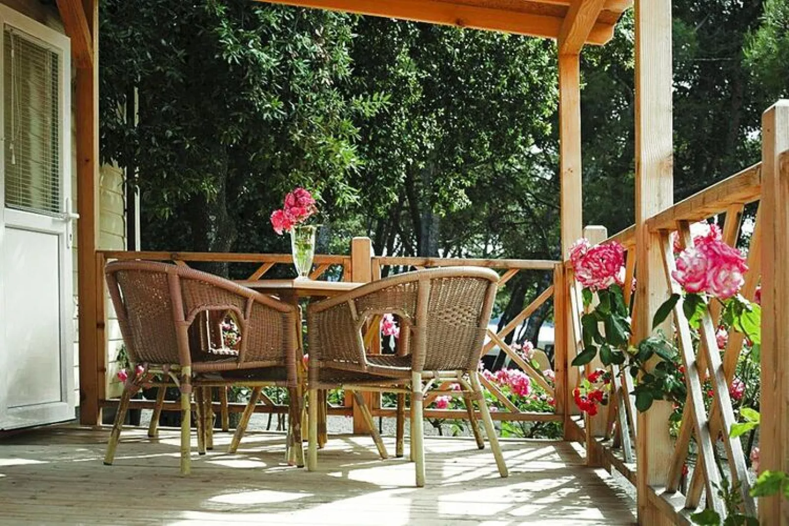 terrace