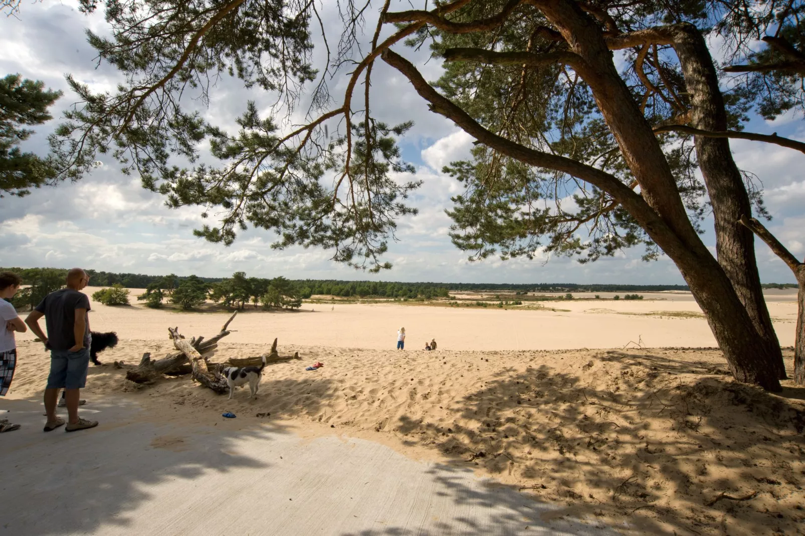 Recreatiepark Duinhoeve 1-Gebieden zomer 1km
