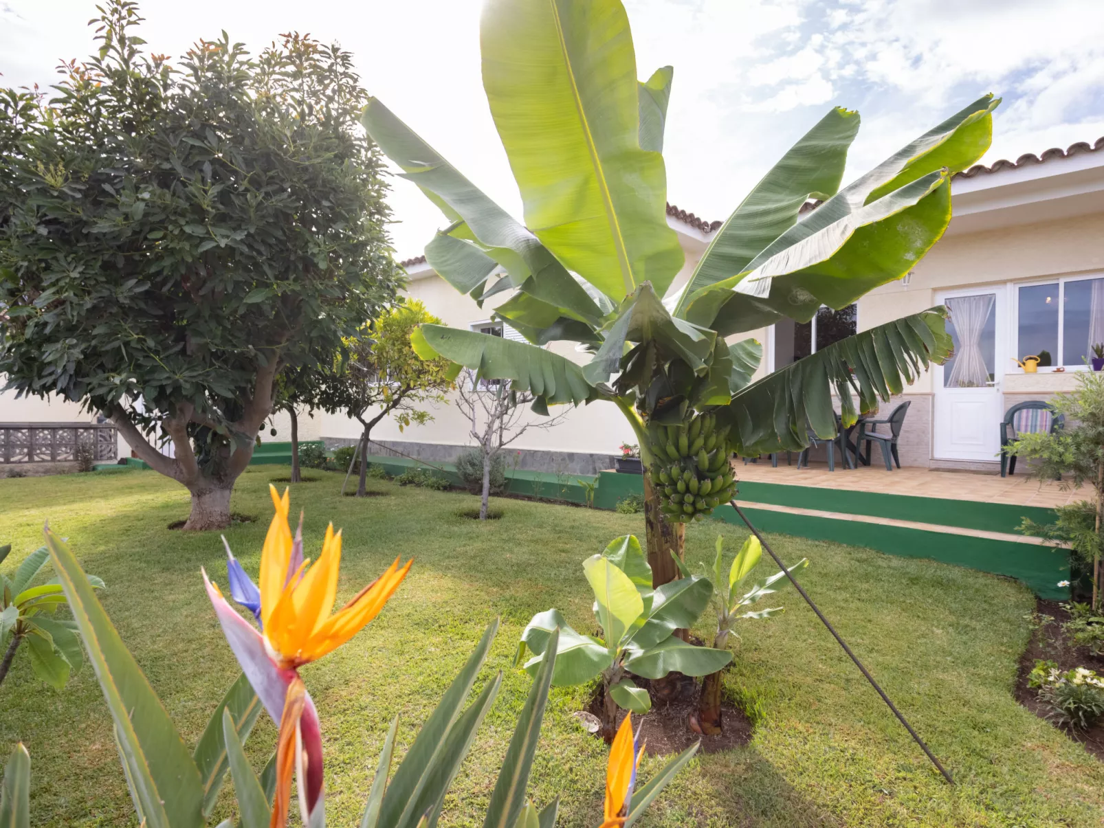 Flores de Erika- Las Dalias-Buiten