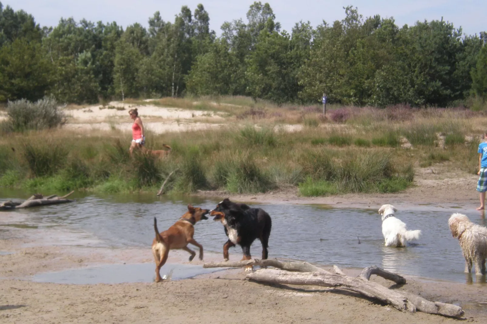 Recreatiepark Duinhoeve 3-Gebieden zomer 1km