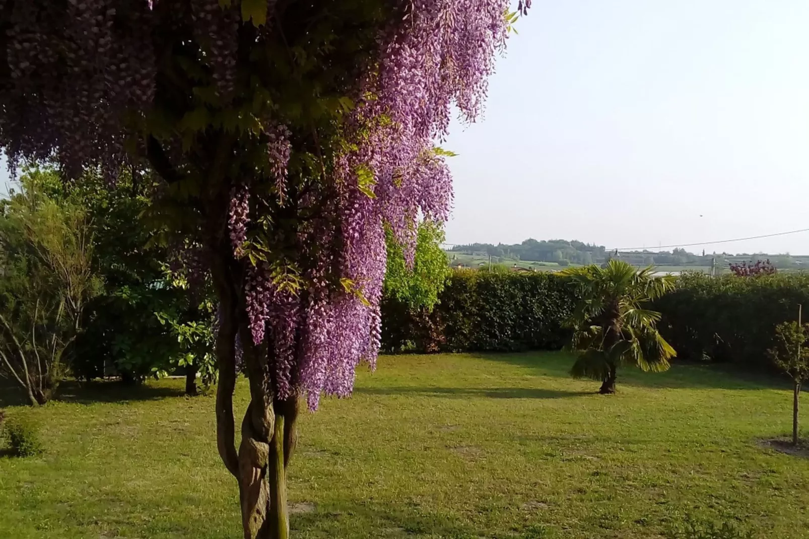 Villetta Pastrengo 1-Tuinen zomer