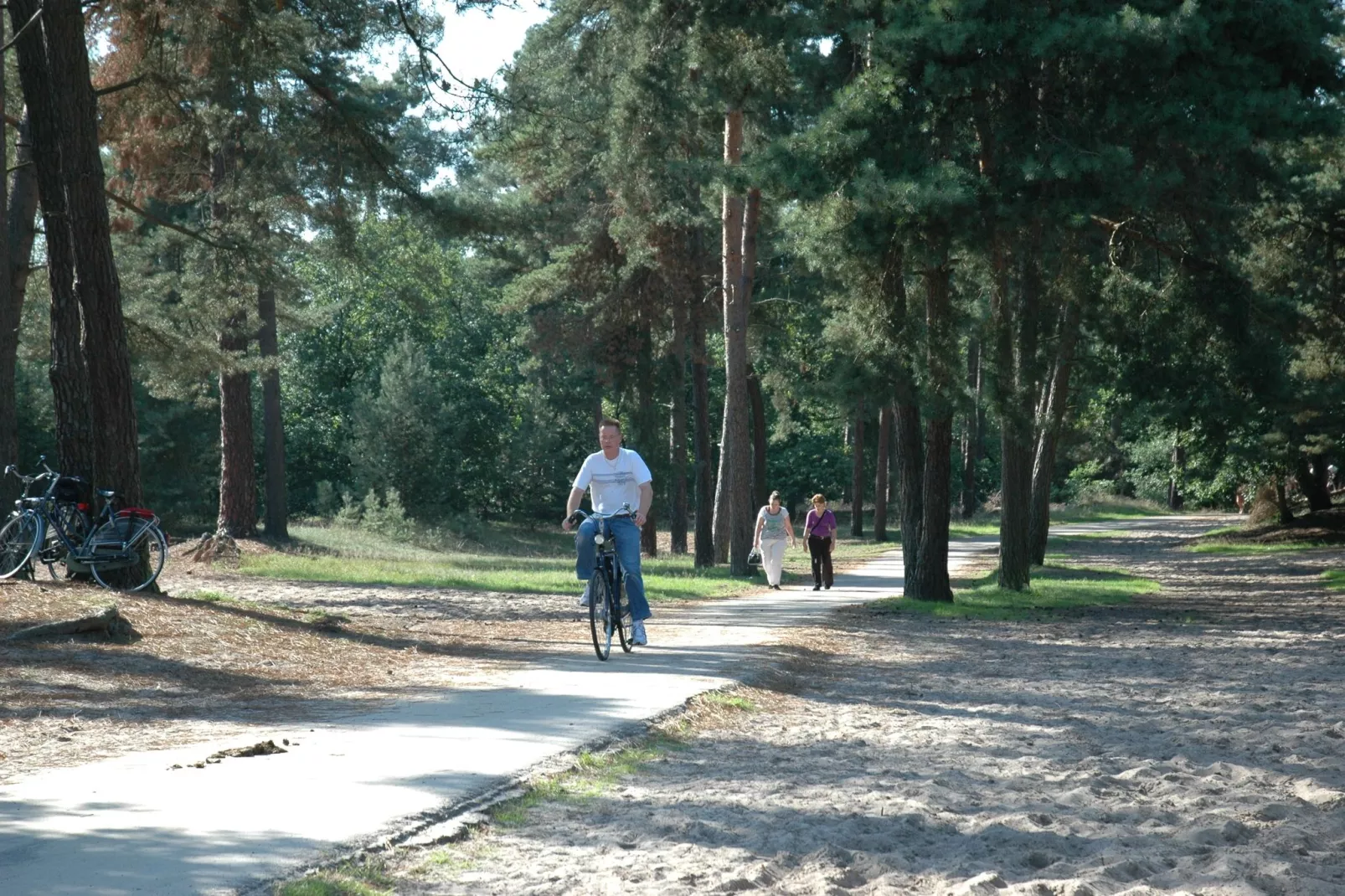 Recreatiepark Duinhoeve 3-Gebieden zomer 1km
