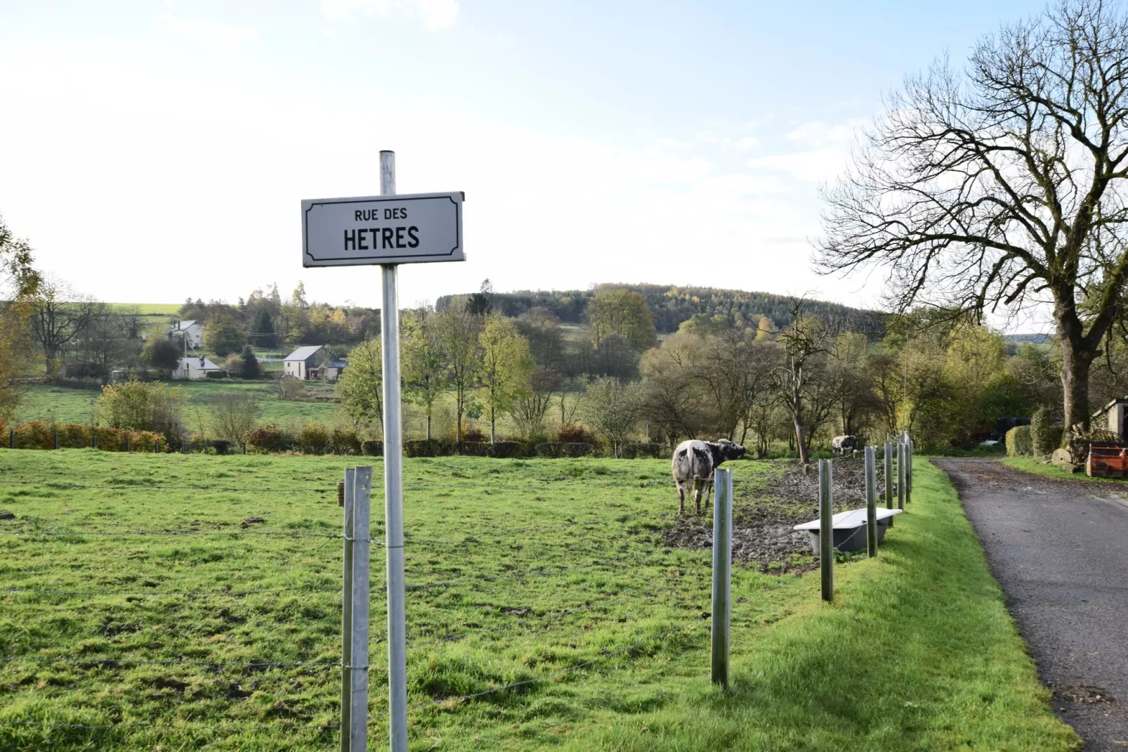 Clos des Hêtres Pourpres-Gebieden zomer 1km