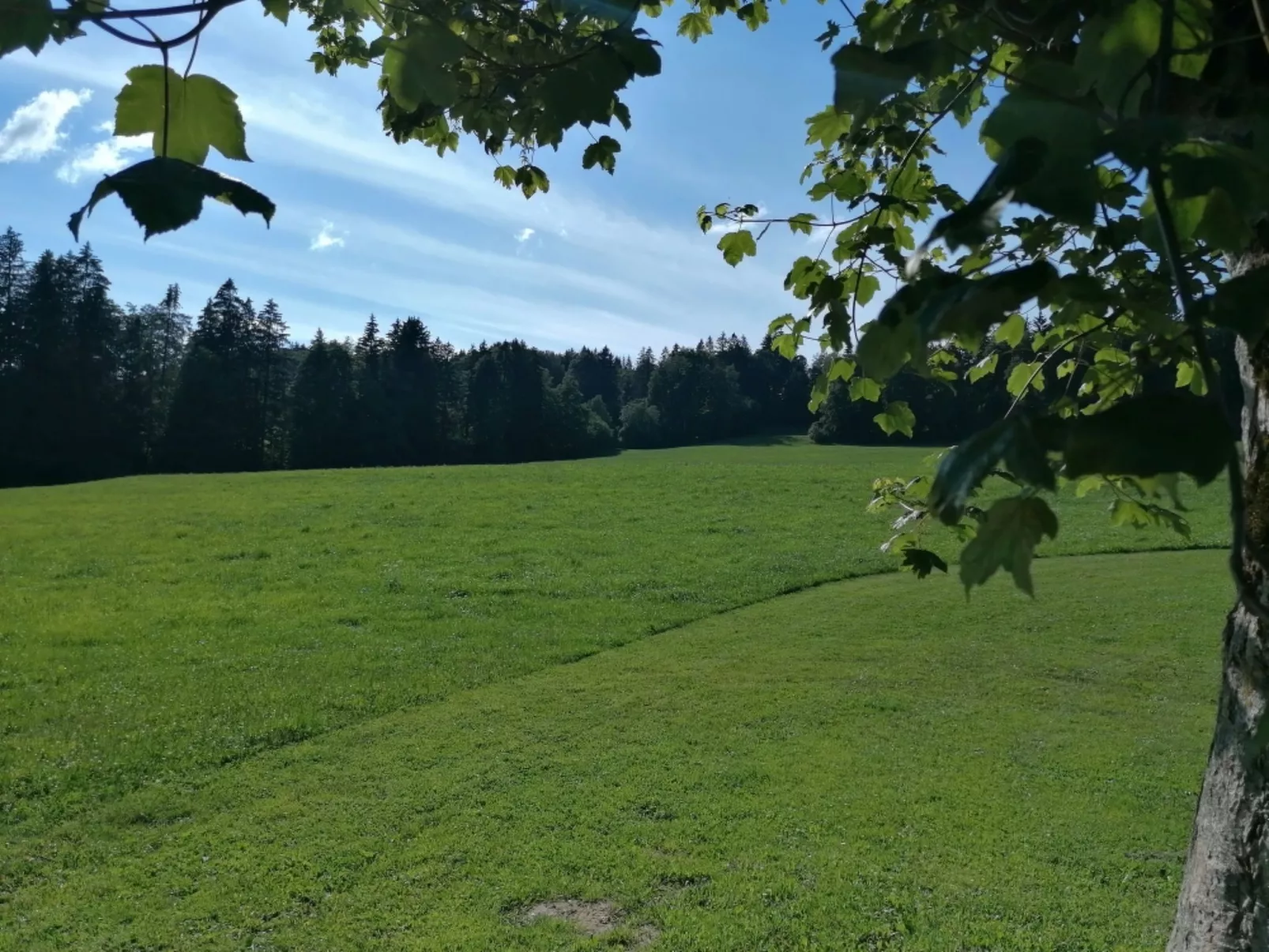 Appartement - Les Poingnats-Buiten