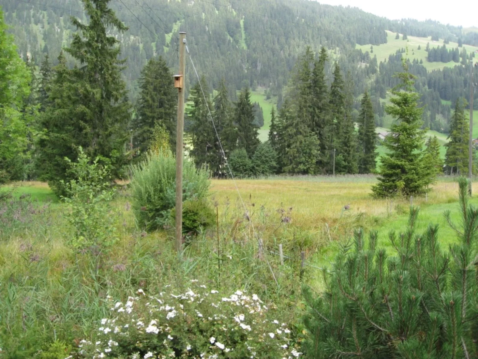 Chalet Nyati-Buiten