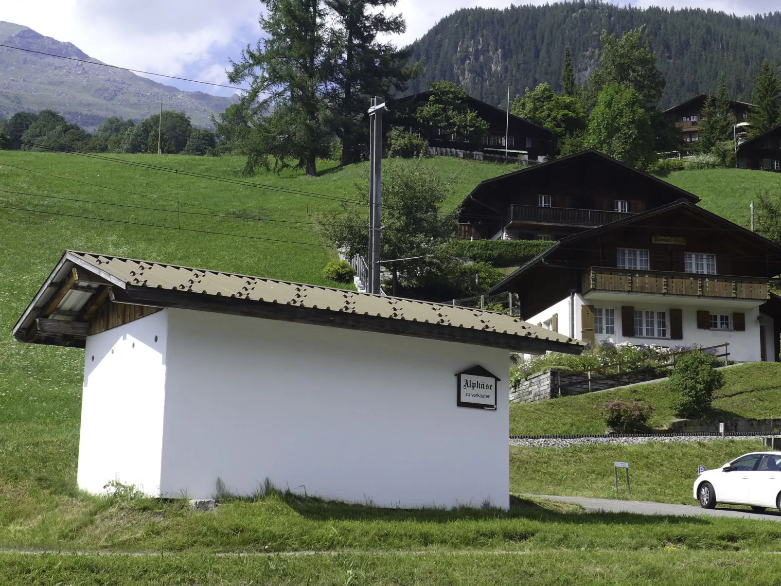 Chalet Reinhysi-Buiten