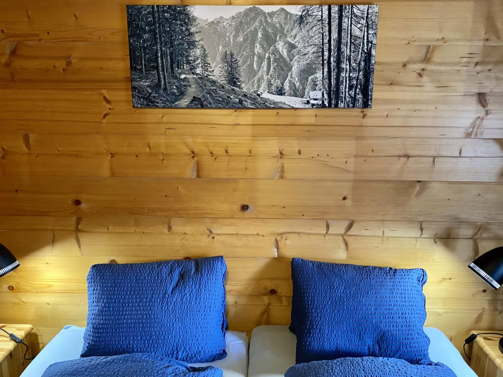 Chalet Jungtalblick Eggeri-Binnen