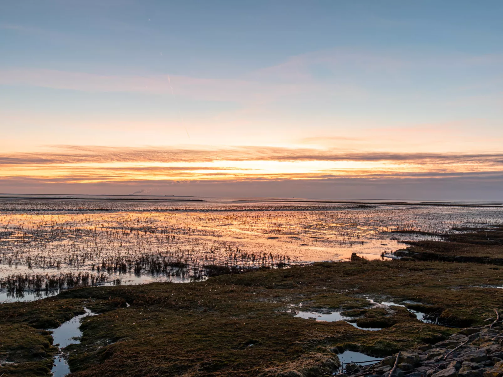 Muschelweg-Omgeving