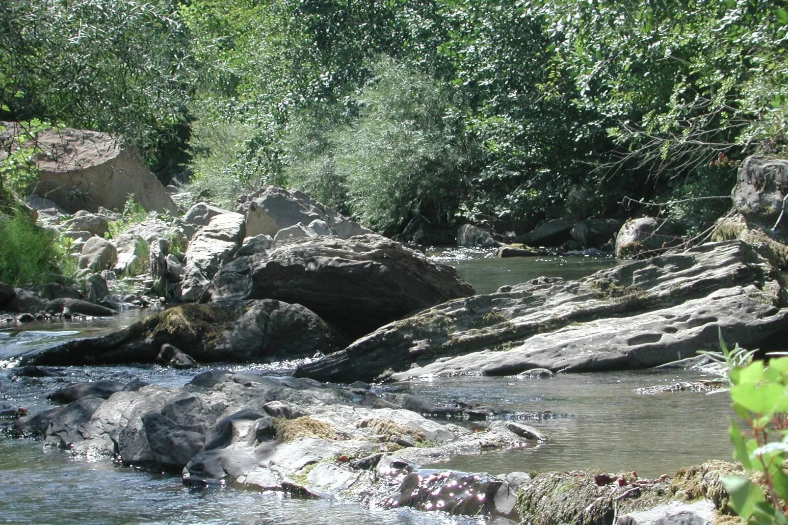 Borgo Belvedere Mono-Gebieden zomer 5km