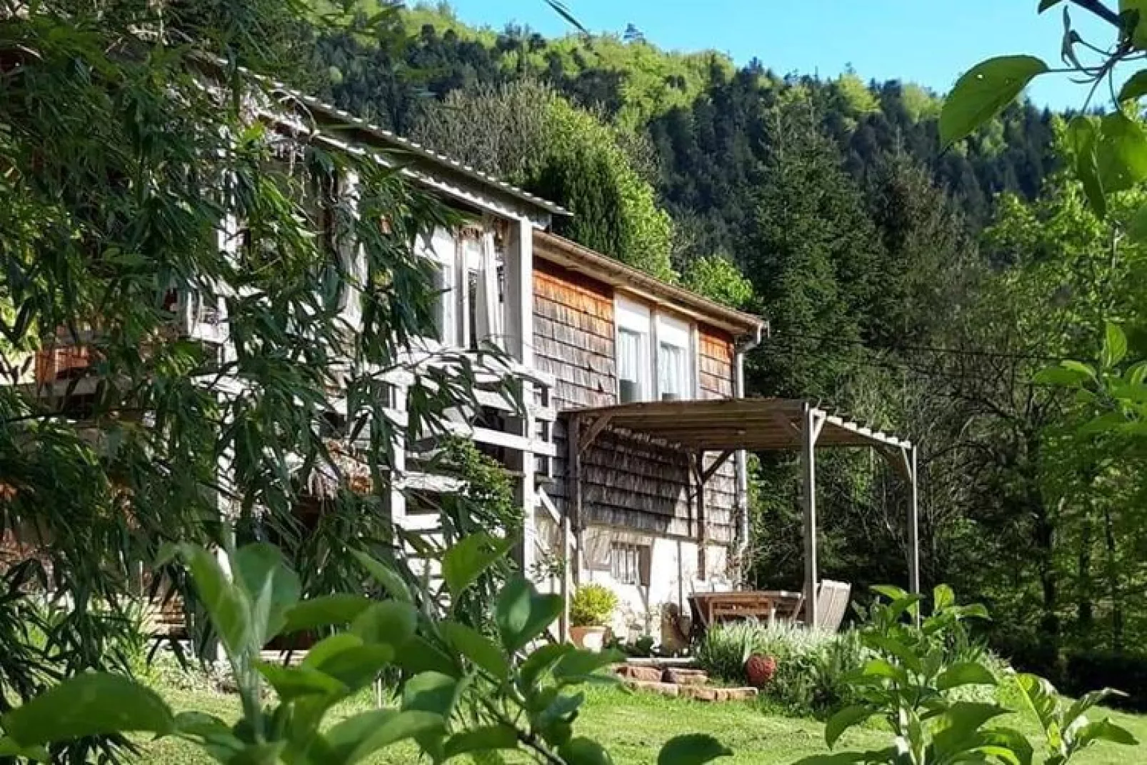 Chalet Saint Bernard - Raon l'Étape-Uitzicht zomer