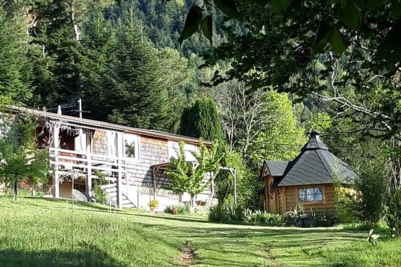 Chalet Saint Bernard - Raon l'Étape-Uitzicht zomer