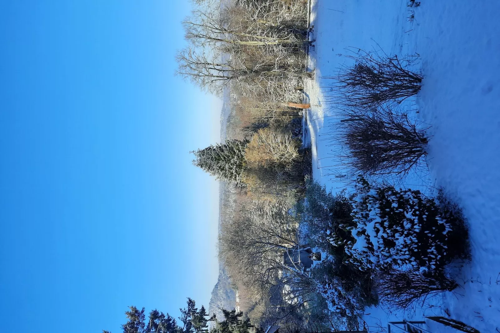 Chalet Saint Bernard - Raon l'Étape-Uitzicht winter