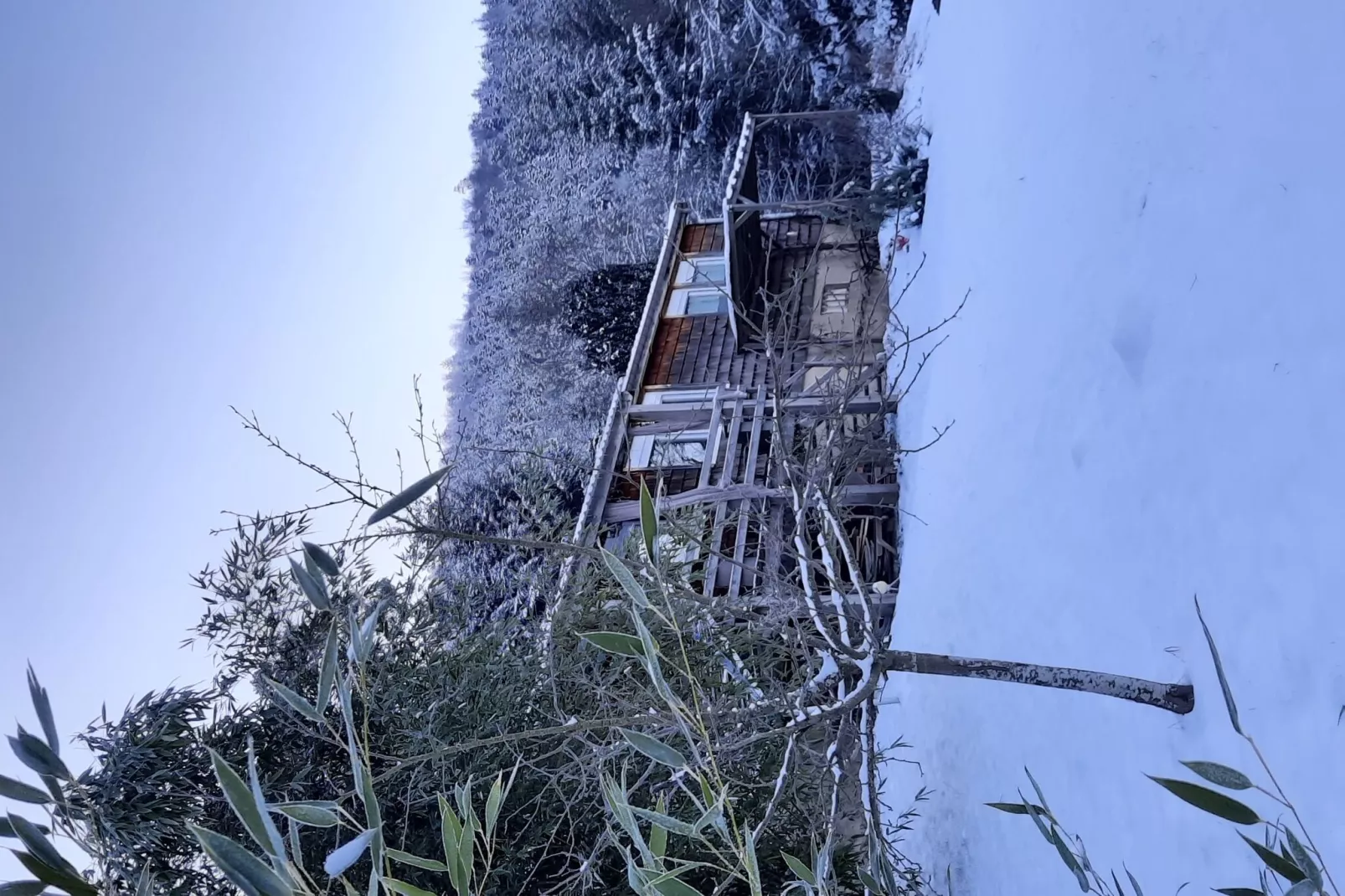 Chalet Saint Bernard - Raon l'Étape-Uitzicht winter