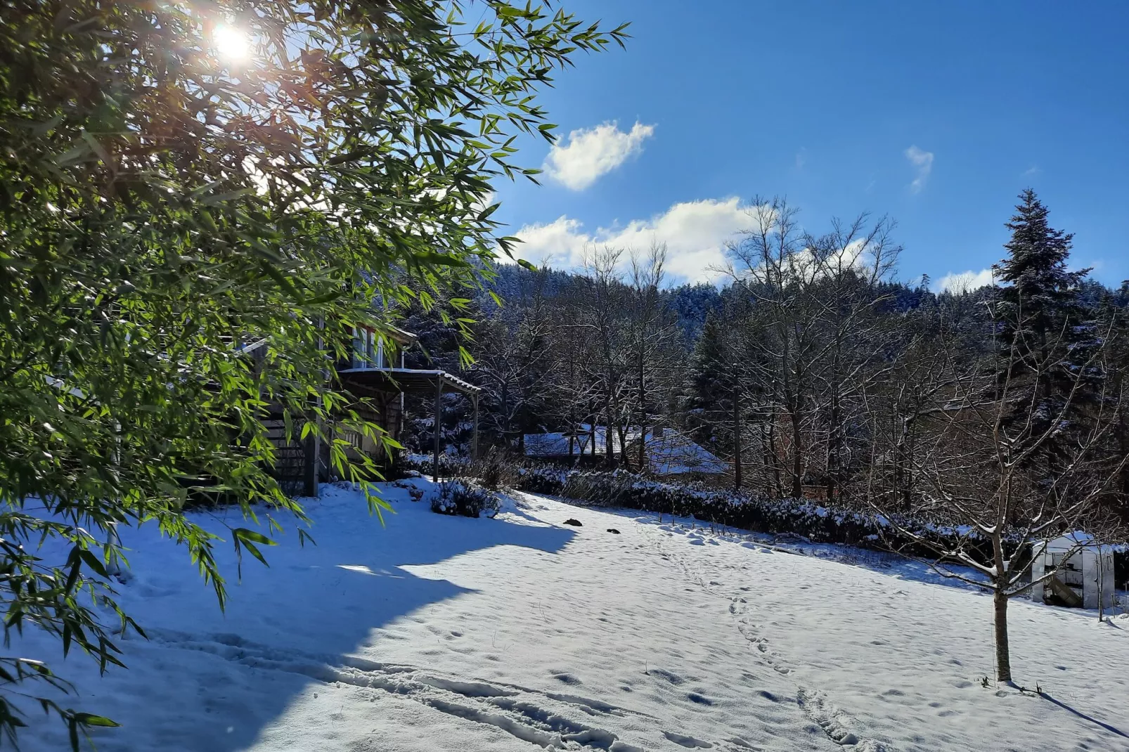 Chalet Saint Bernard - Raon l'Étape-Gebied winter 1km