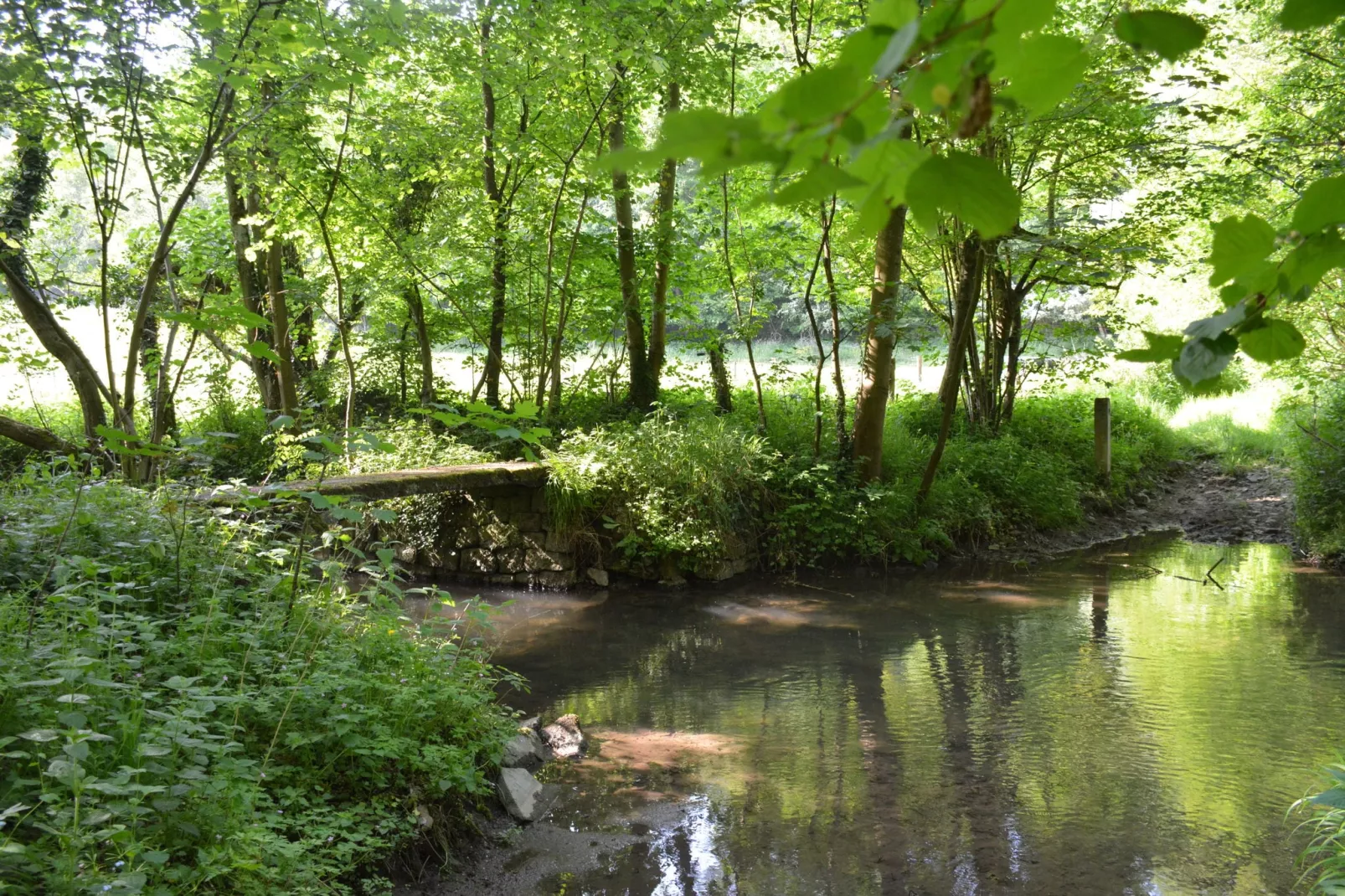 Enjoysquare 22-Gebieden zomer 1km