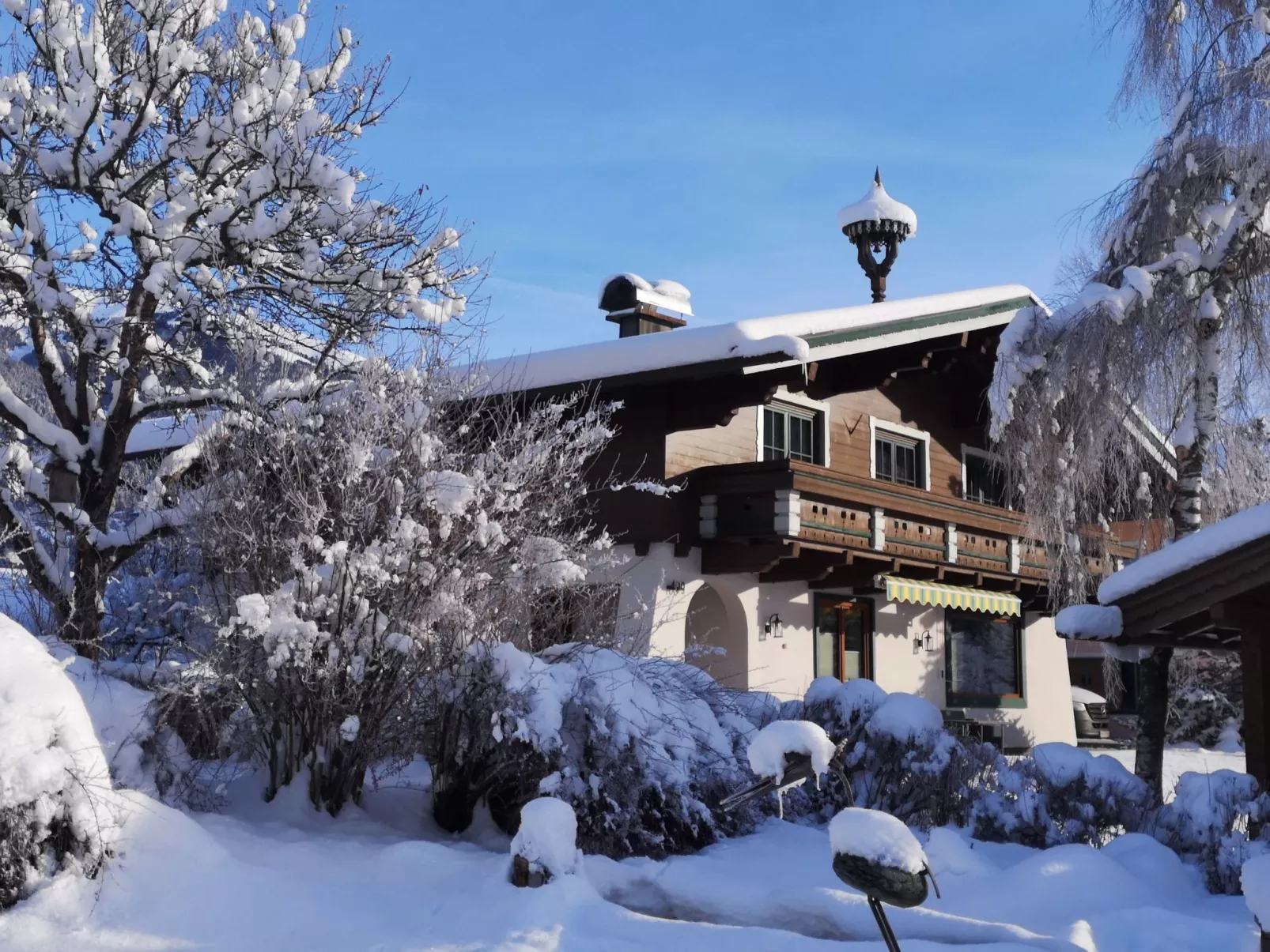 Ferienhaus Wildkogel-Buiten