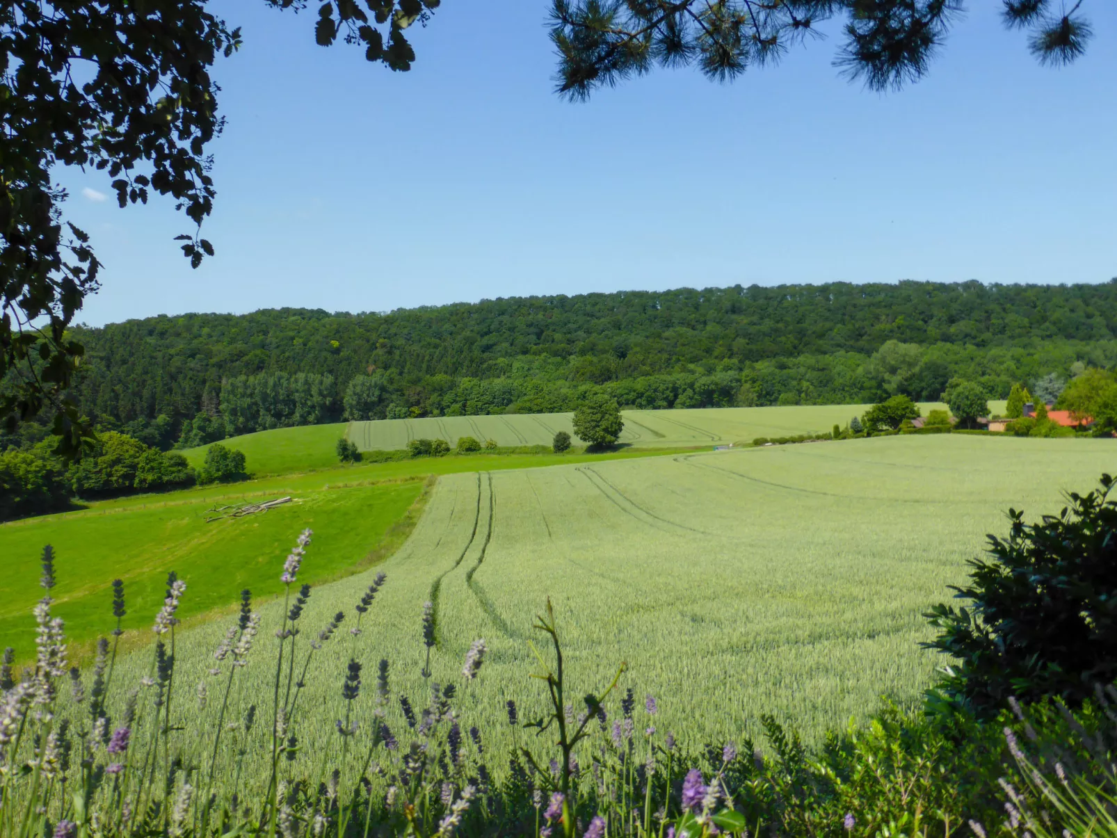 Wiesenhütte-Buiten