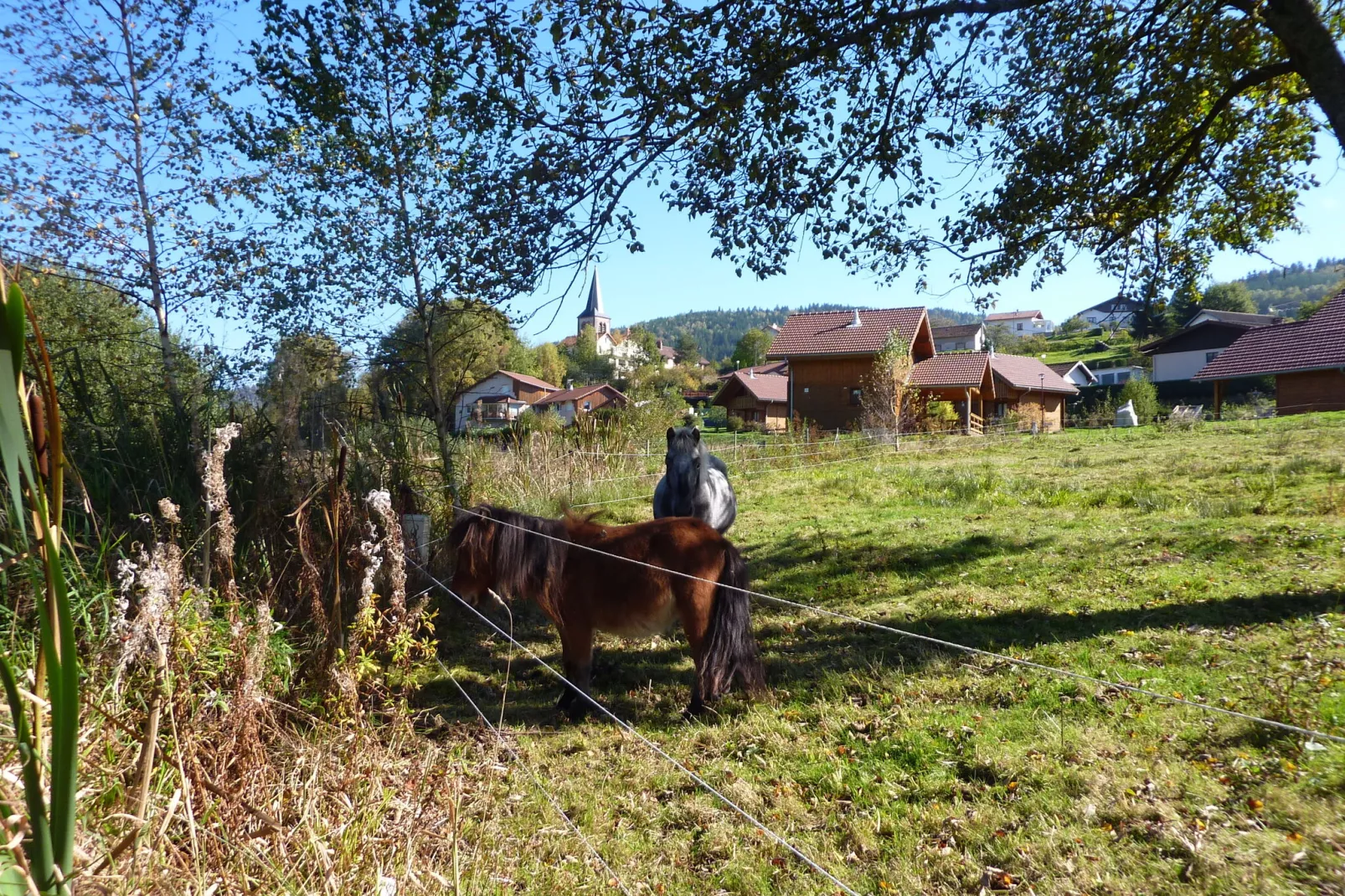 Hameau de l'Etang 2-Gebieden zomer 1km