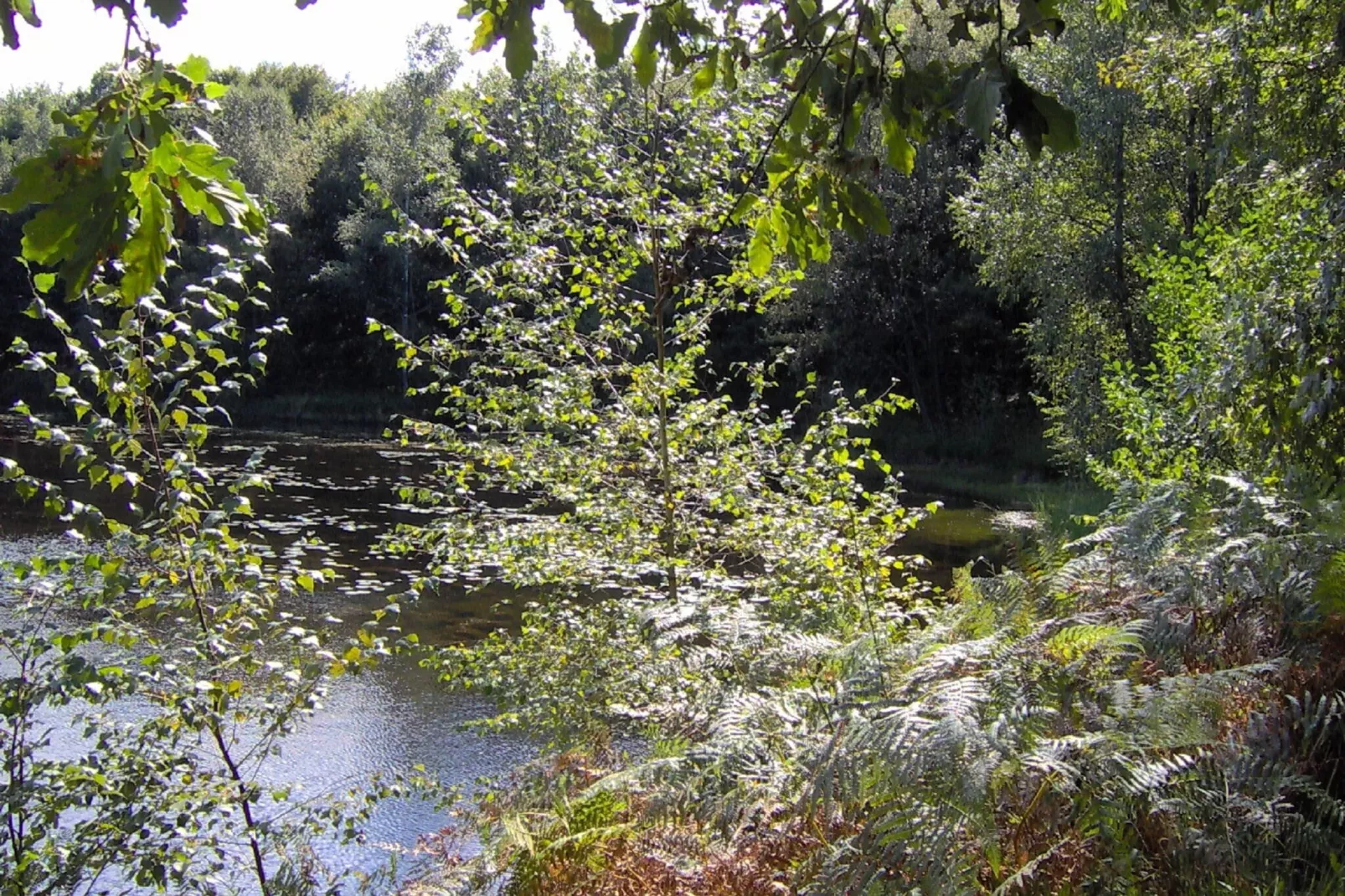 Hameau de l'Etang 2-Gebieden zomer 5km