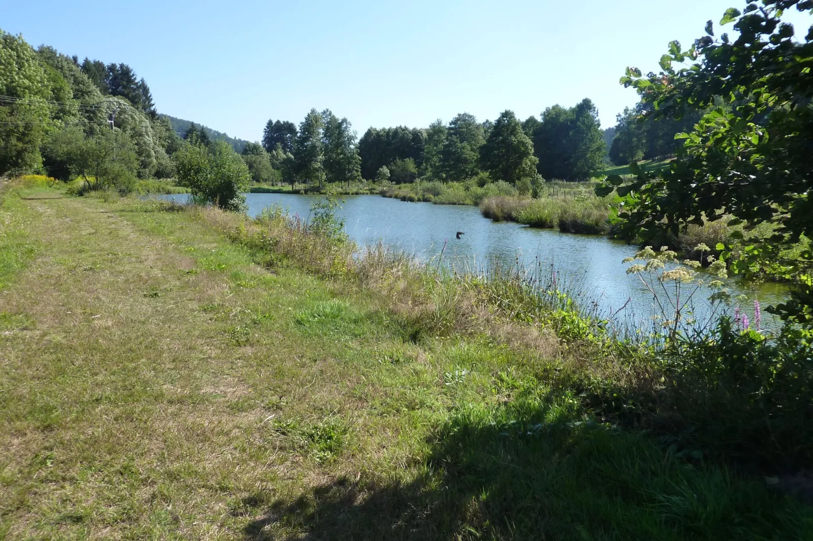 Hameau de l'Etang 2-Uitzicht zomer