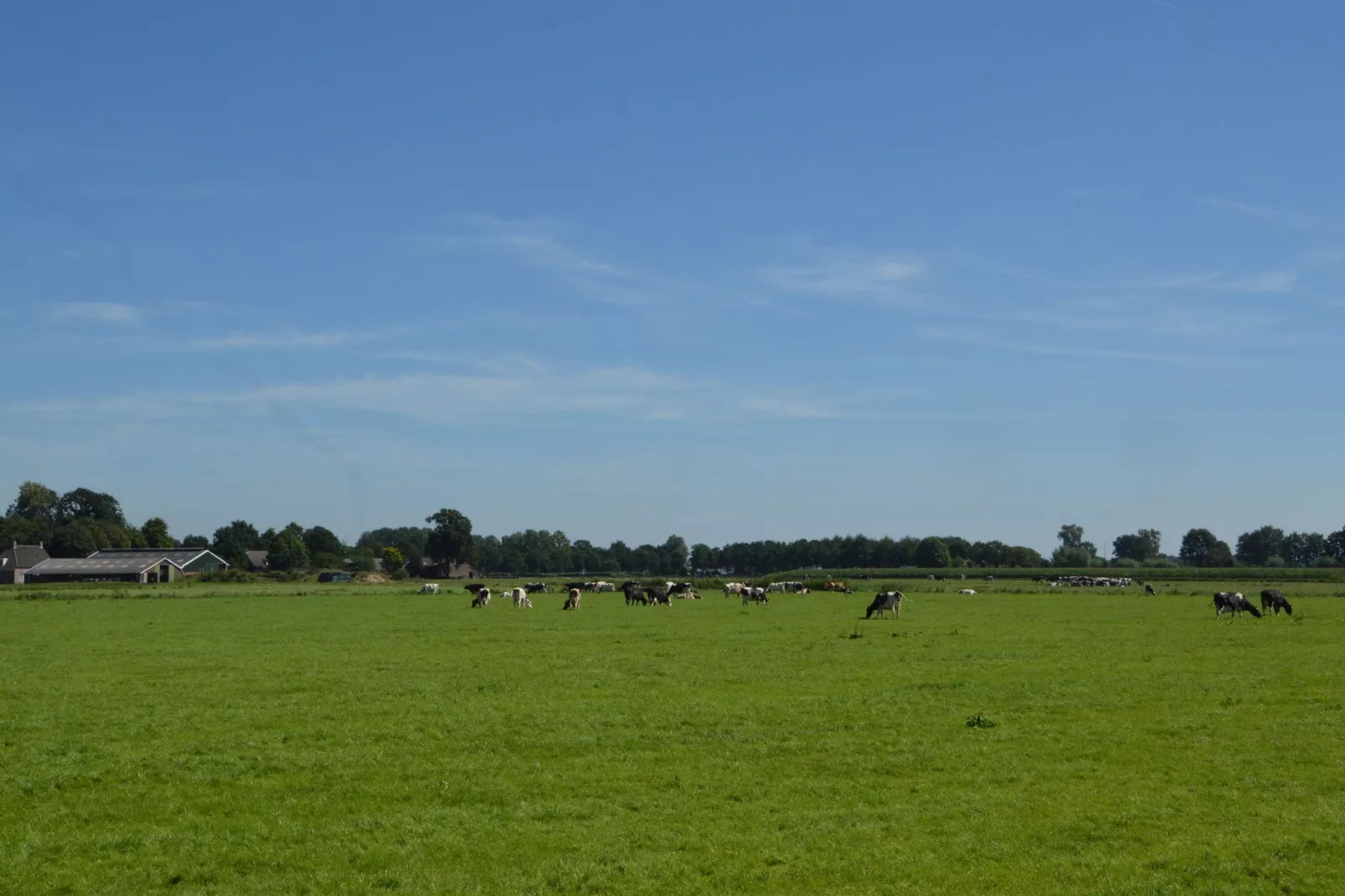 't Havelt-Gebieden zomer 5km