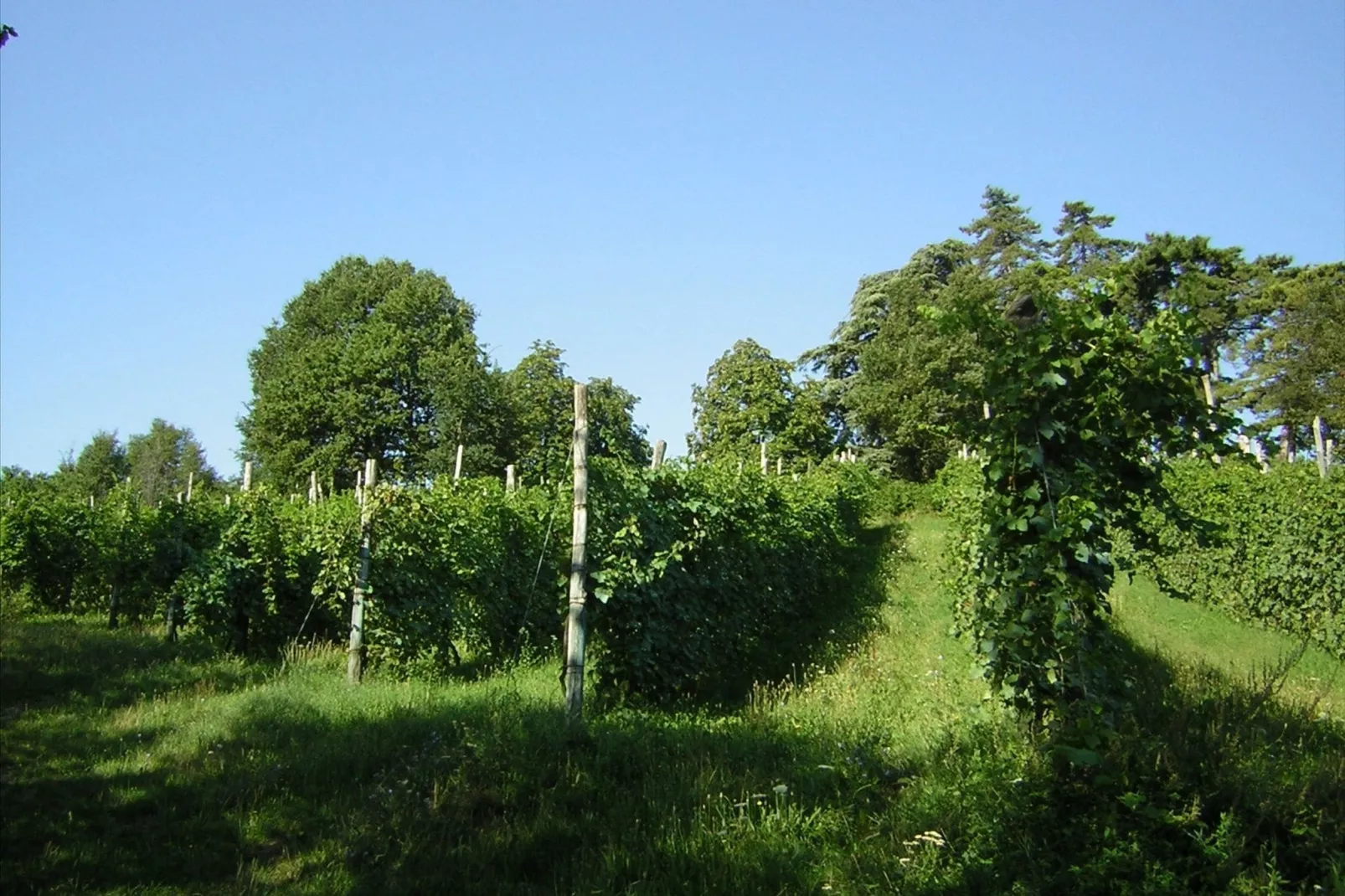 Appartamento Grande-Tuinen zomer