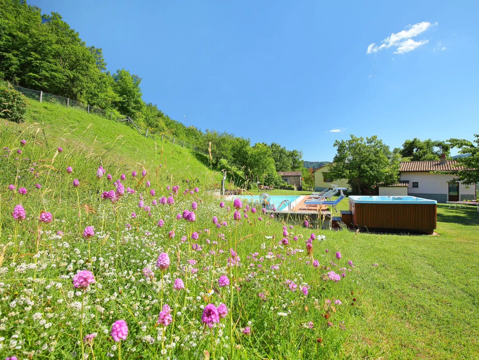 Azienda Agricola Piano Rosso-Buiten