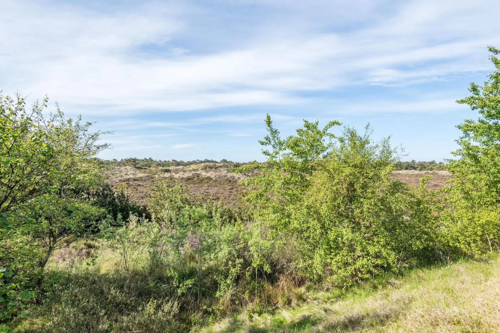 4 persoons vakantie huis in Fanø-Buitenlucht