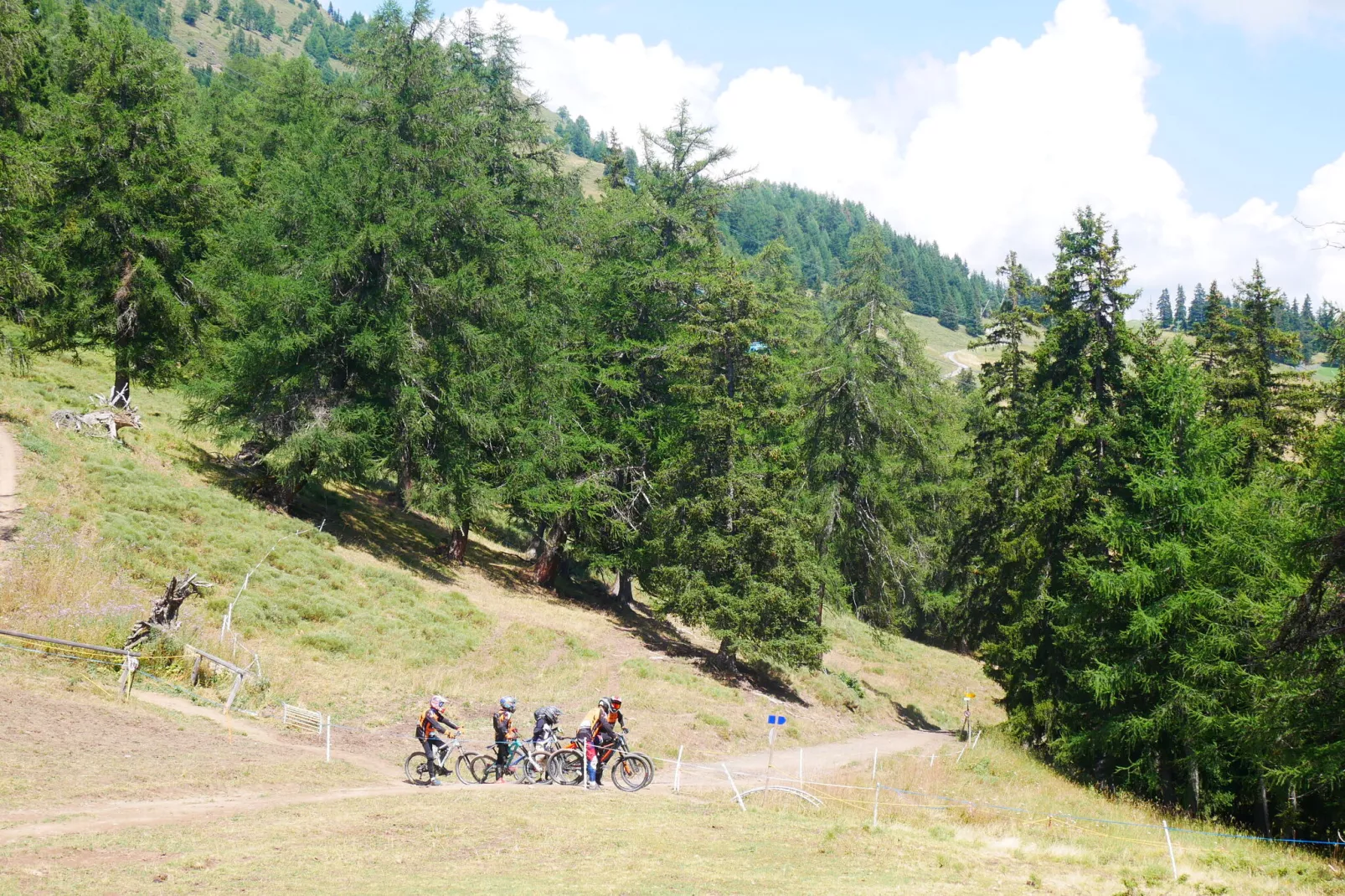 Cransalpin-Gebieden zomer 20km