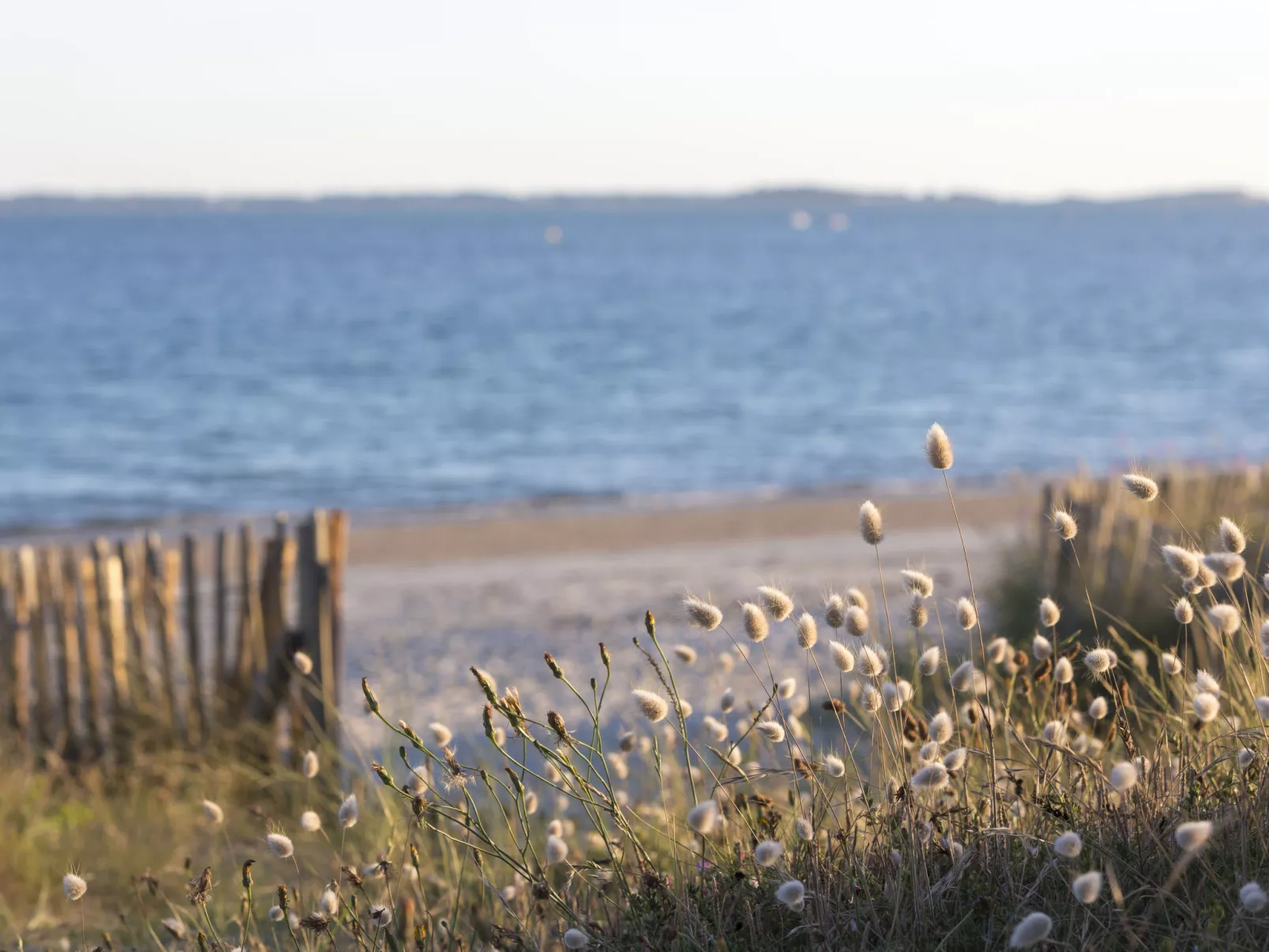 Bleue Océane-Omgeving