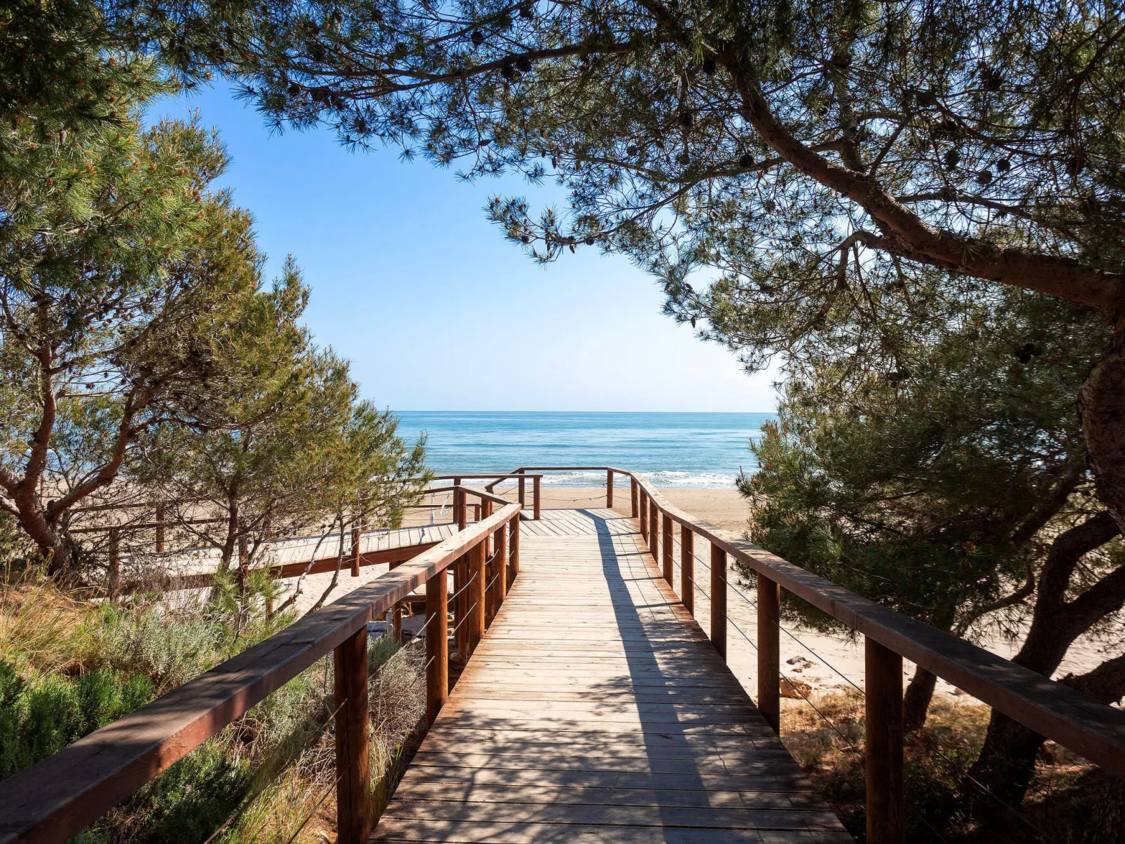 El Palmar Playa Romana-Binnen