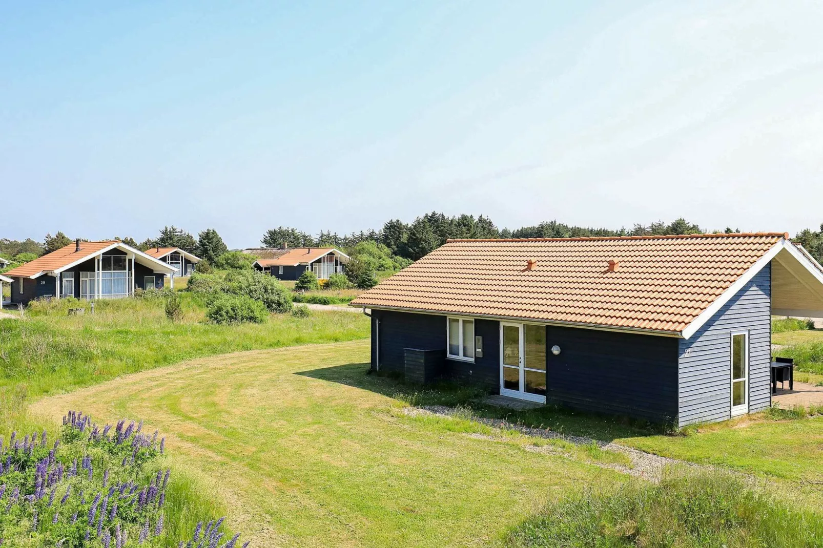 6 persoons vakantie huis in Ulfborg-By Traum-Uitzicht