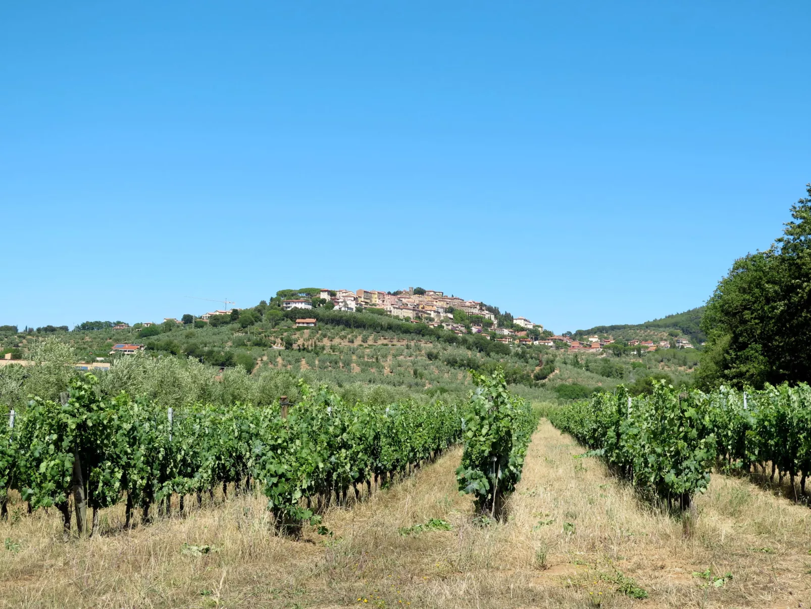 Casa Del Boscaiolo-Omgeving