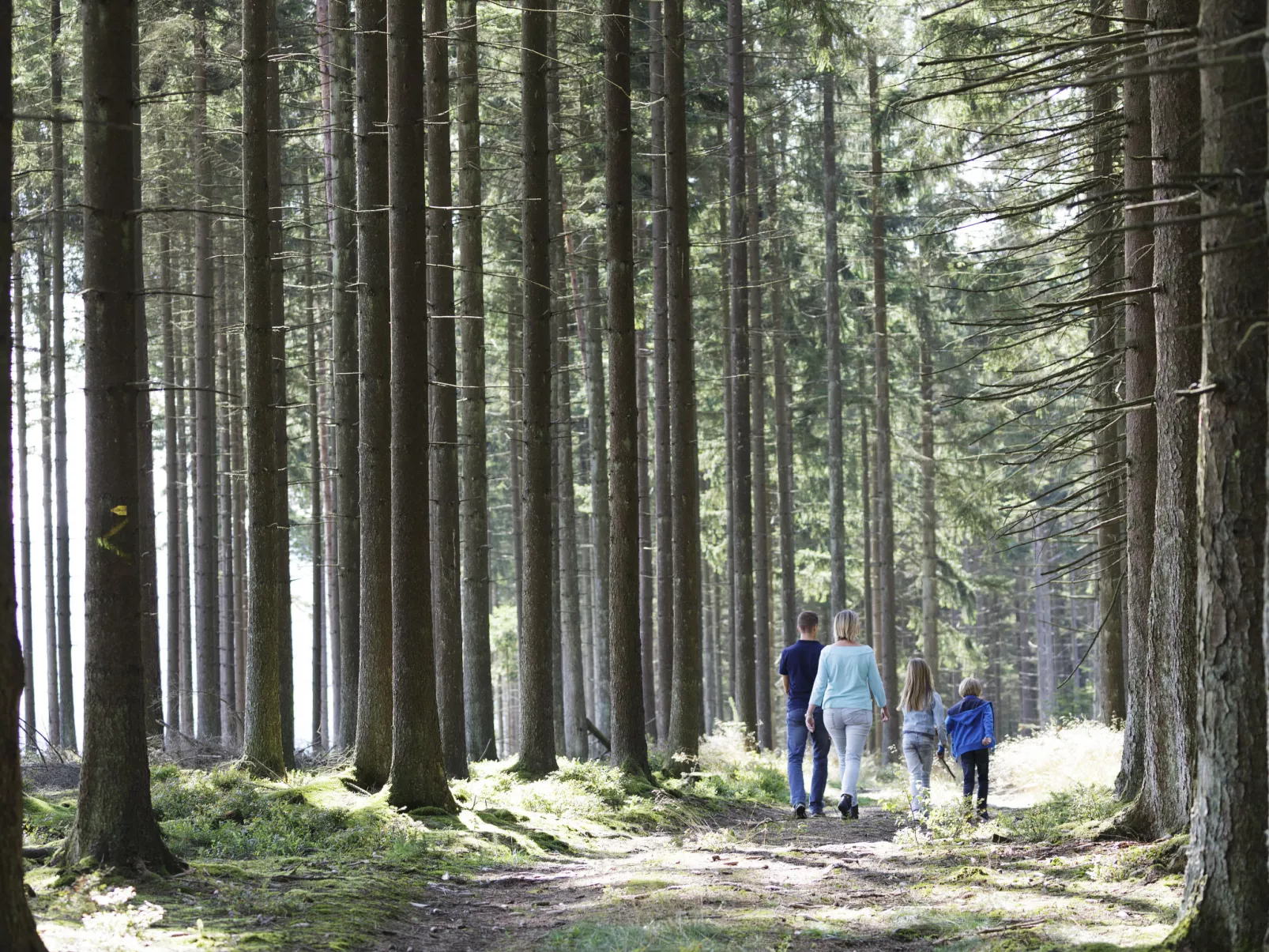 Park Les Ardennes-Buiten