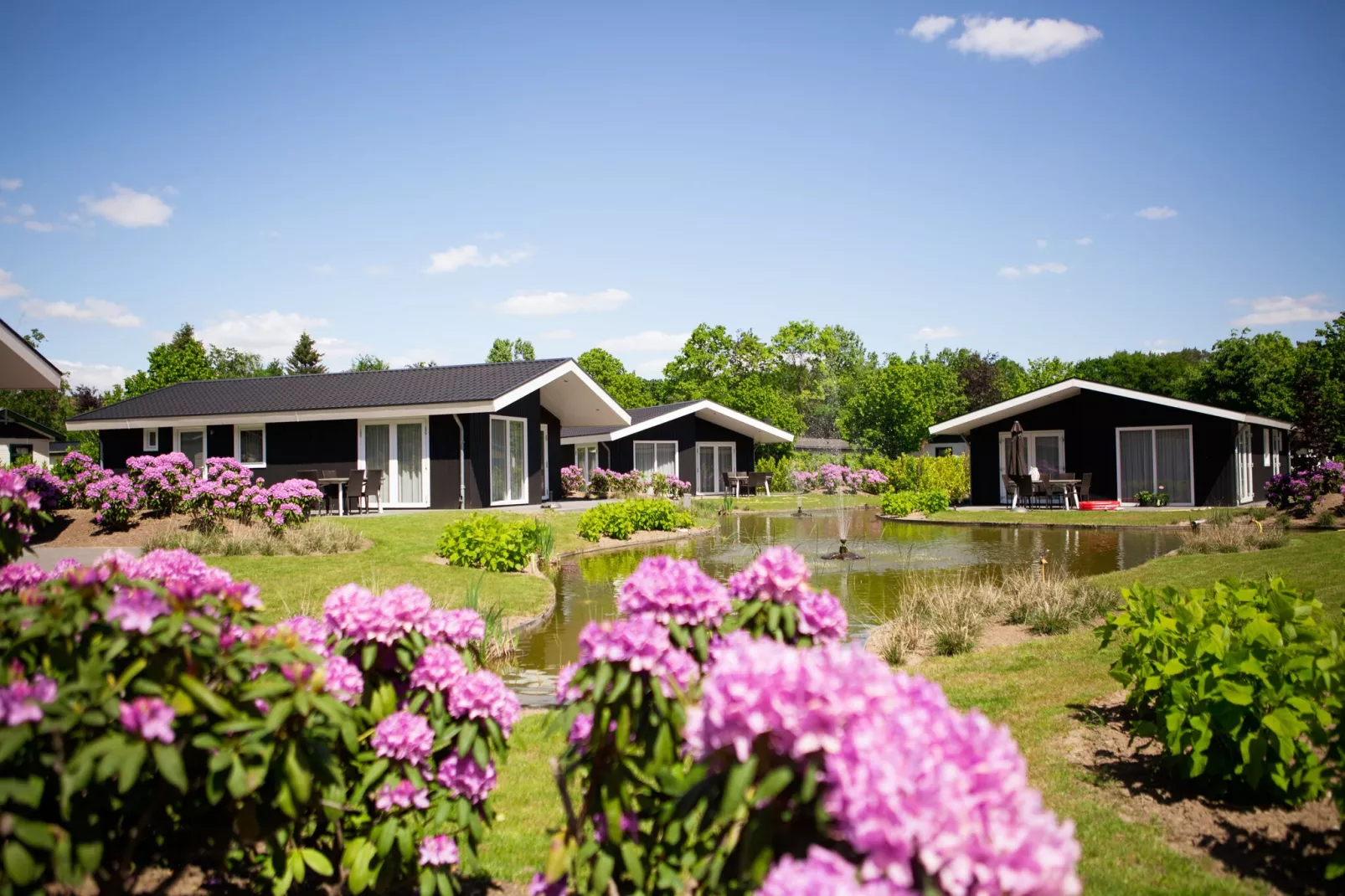 Vakantiepark Molenvelden 1-Buitenkant zomer